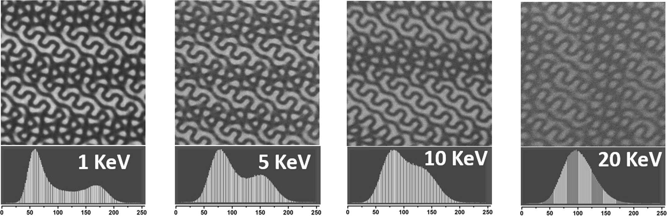 Extended Data Fig. 8