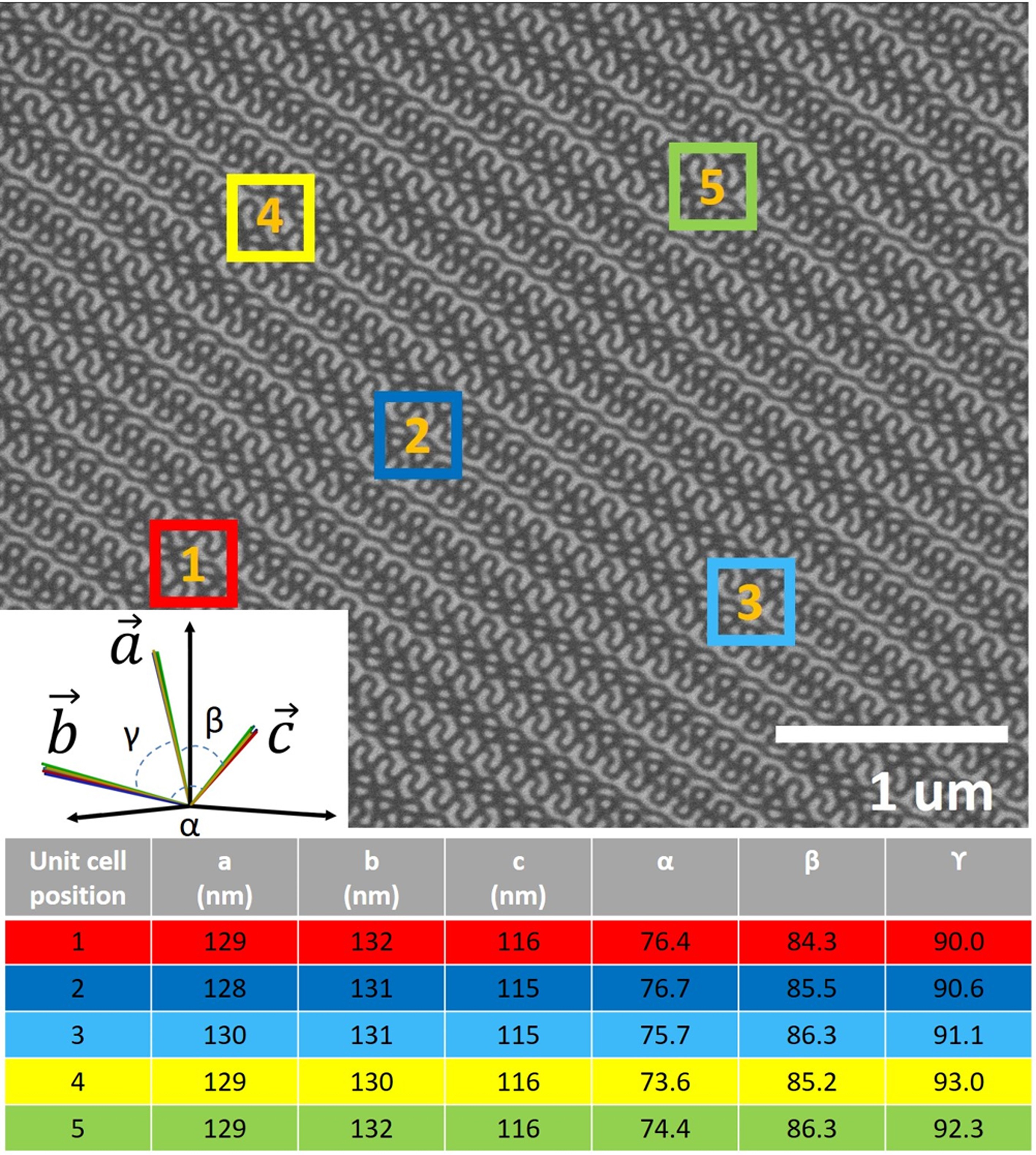 Extended Data Fig. 1