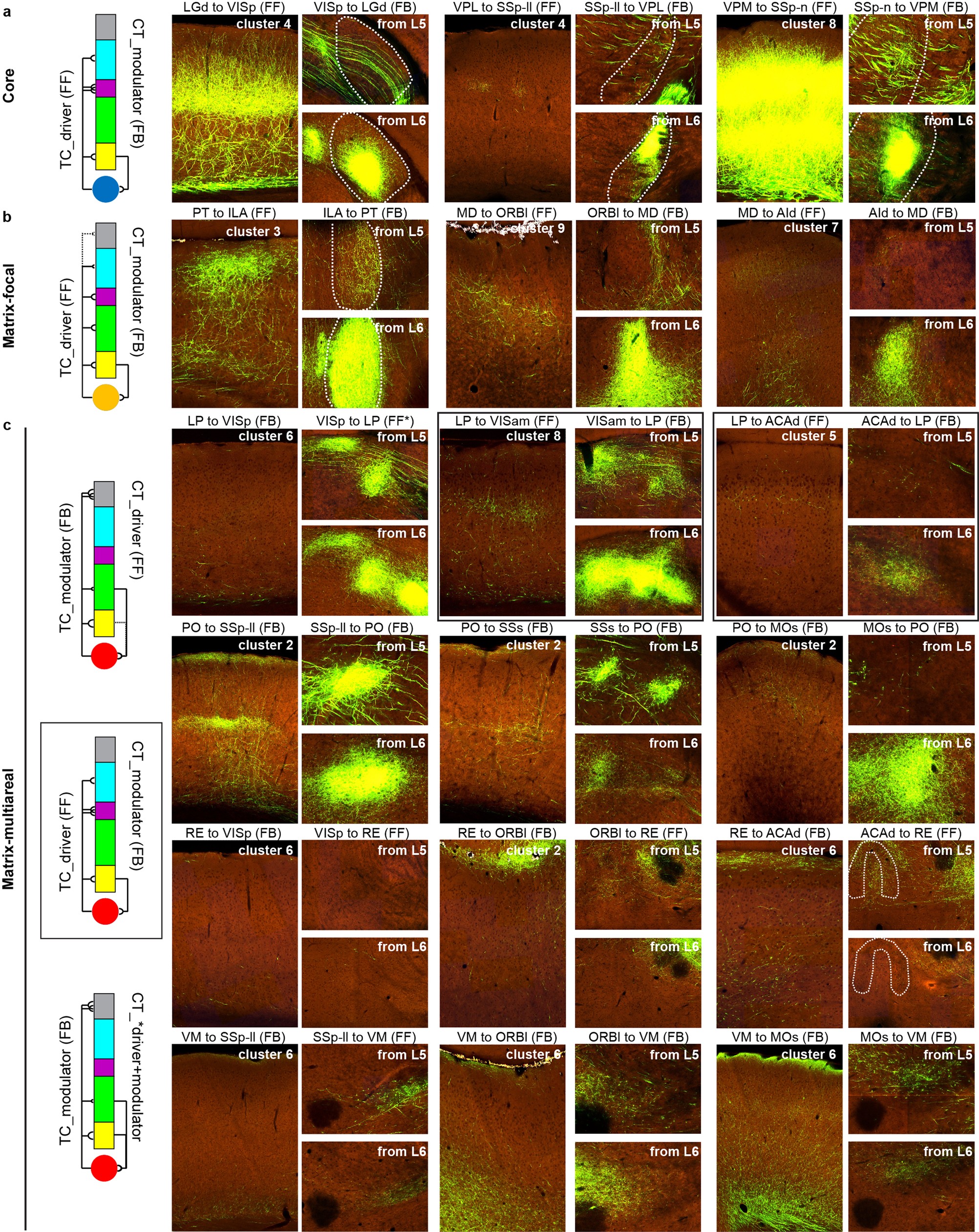Extended Data Fig. 9
