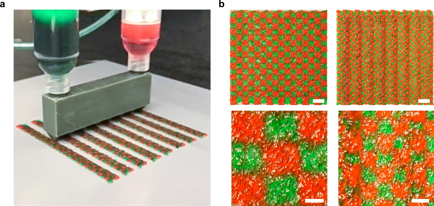 Extended Data Fig. 8