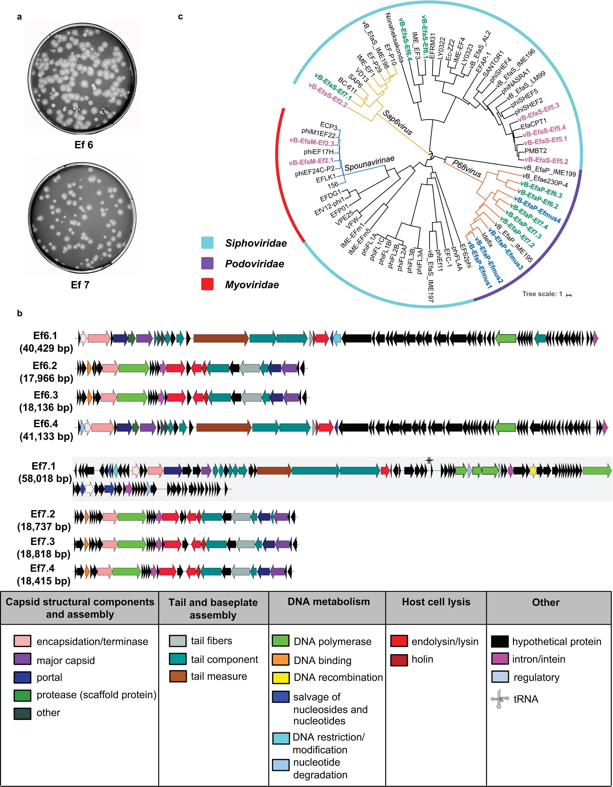 Extended Data Fig. 8