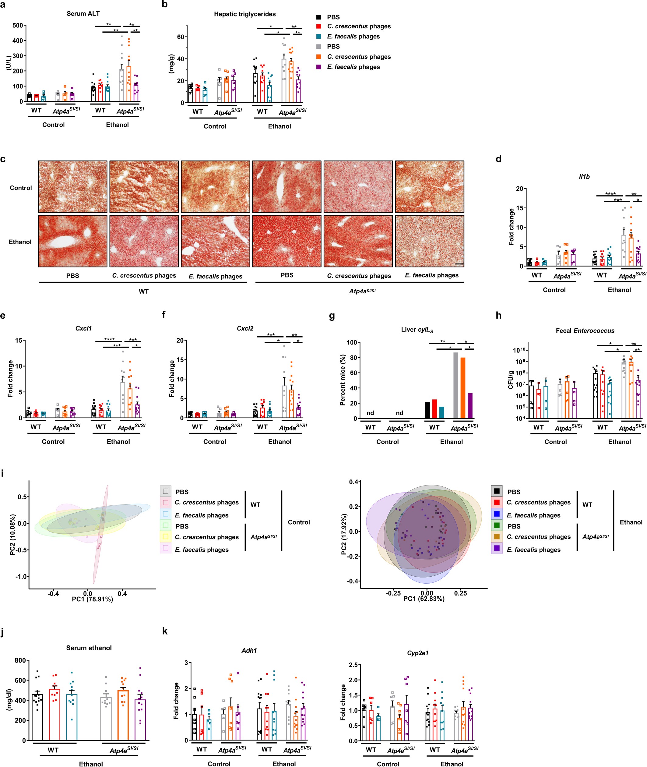 Extended Data Fig. 5