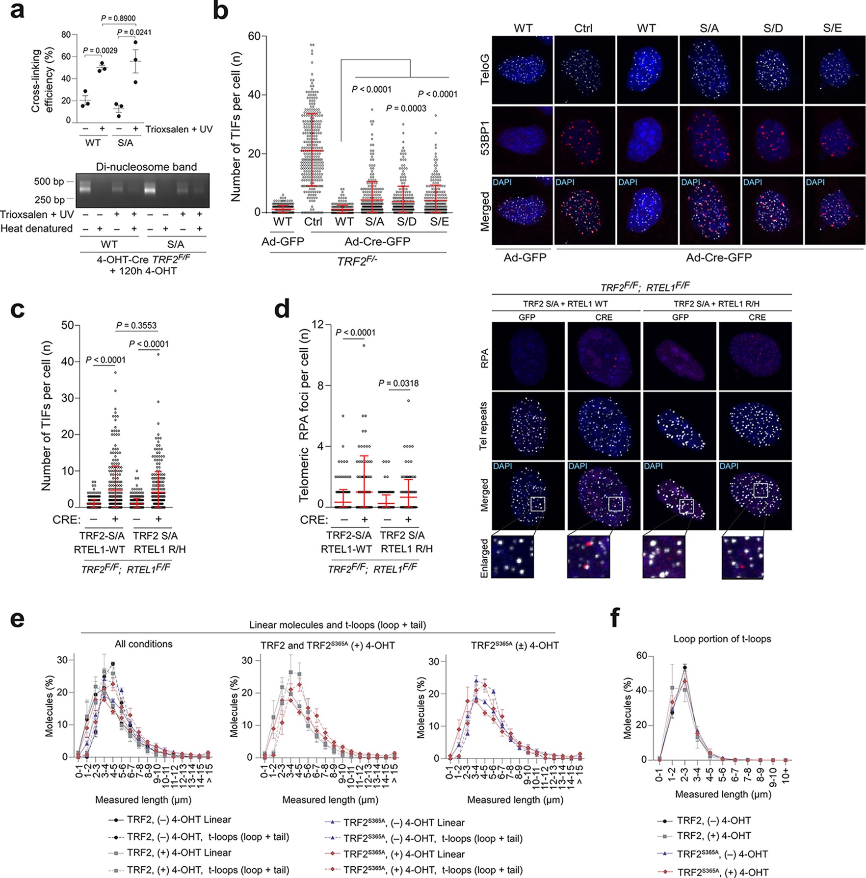 Extended Data Fig. 8