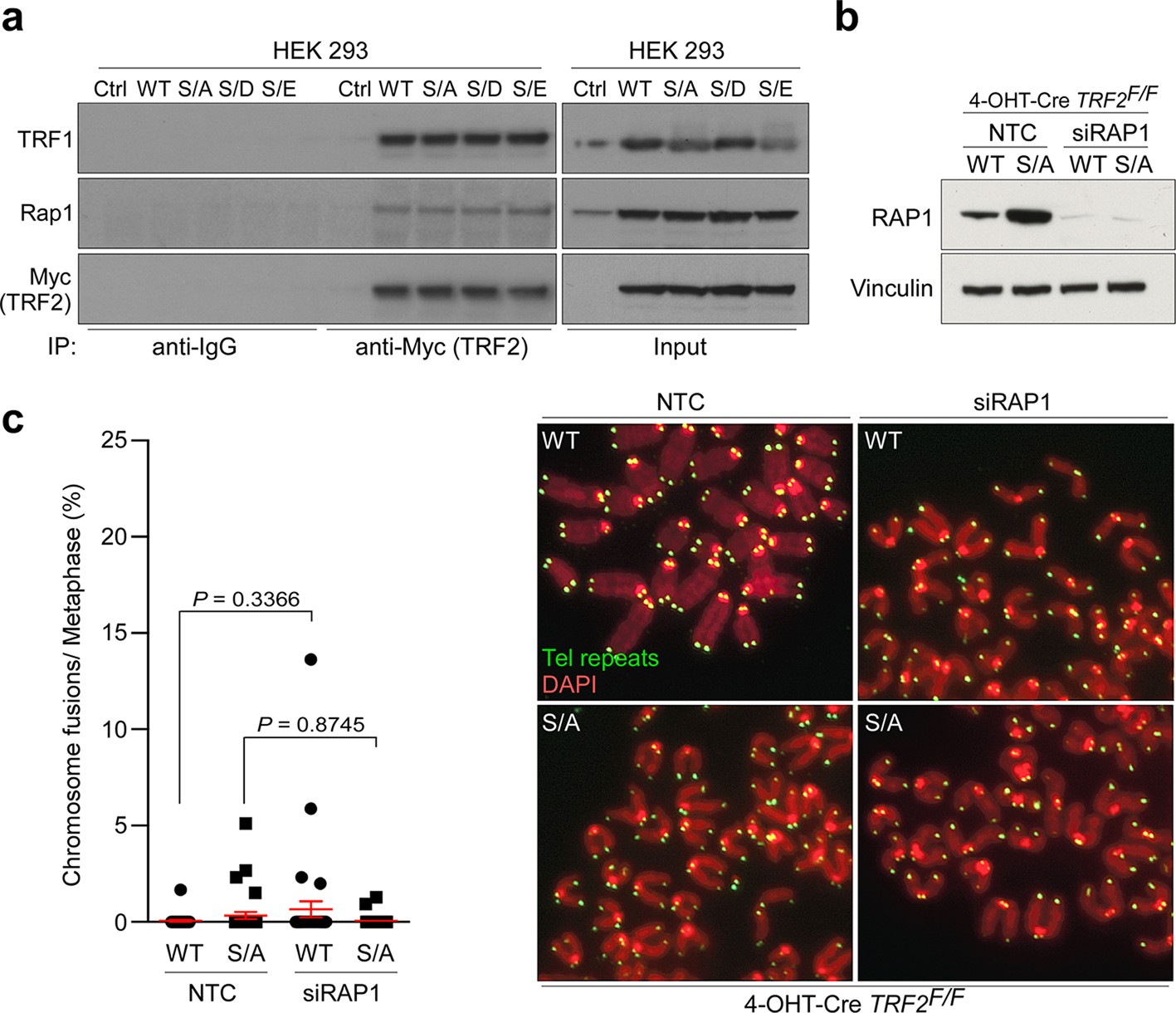 Extended Data Fig. 2