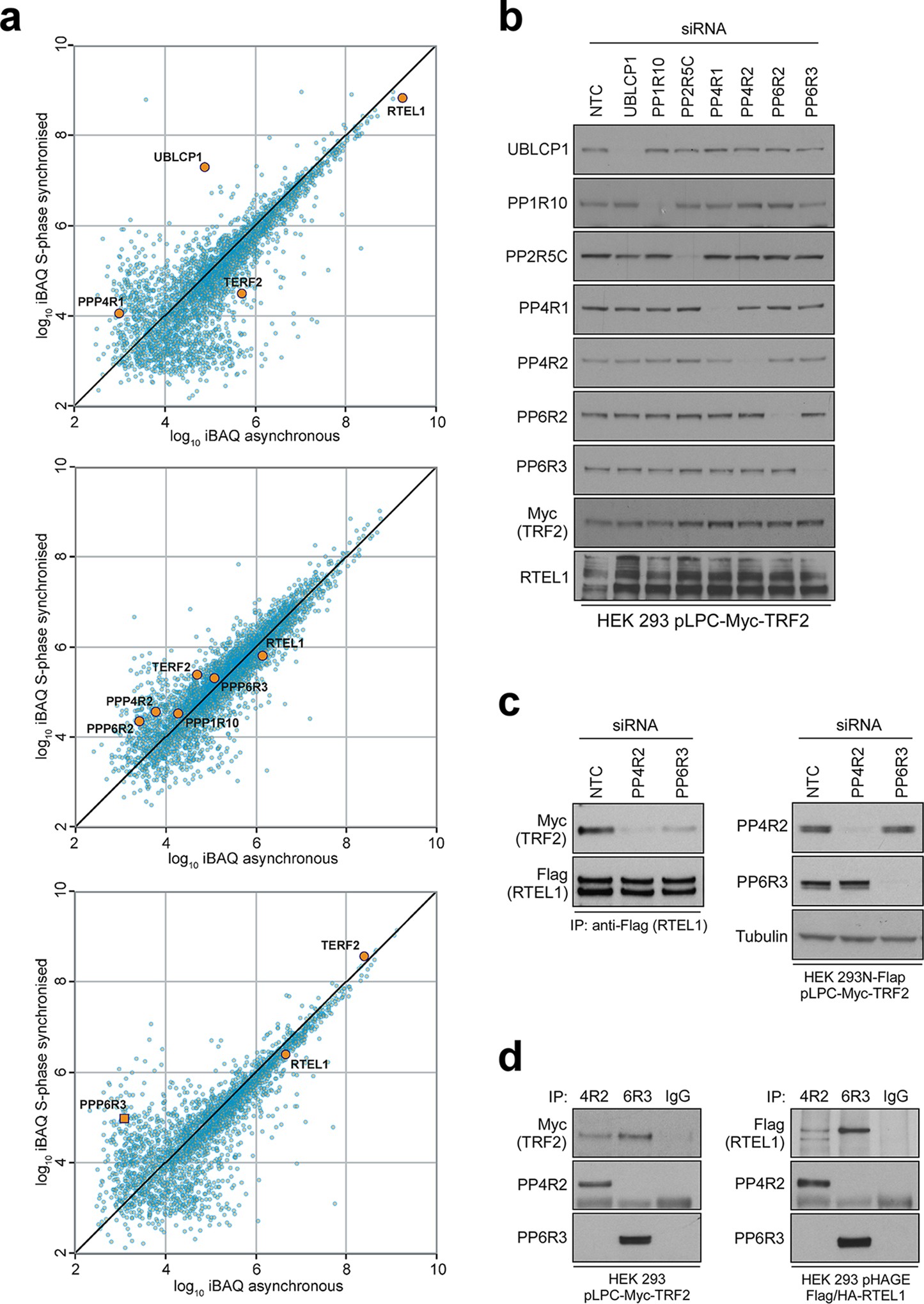 Extended Data Fig. 4