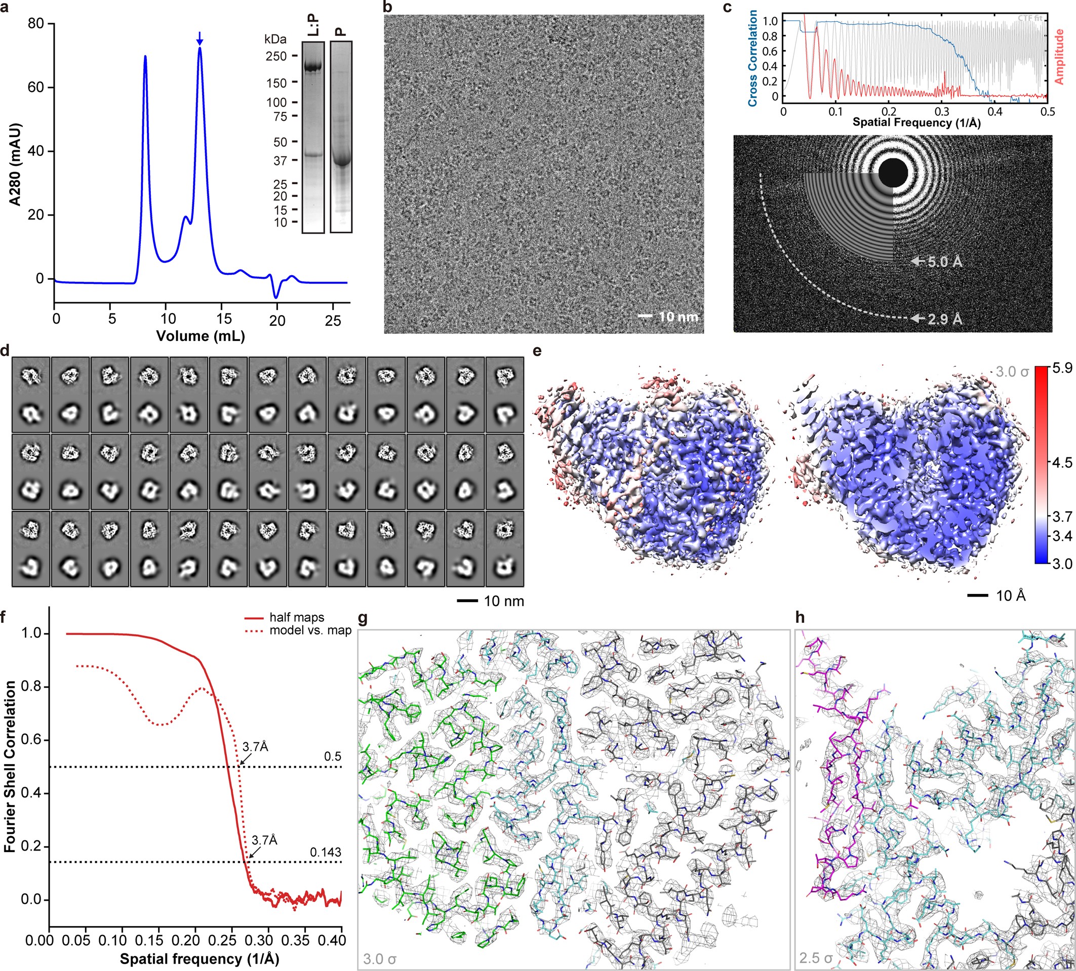 Extended Data Fig. 1