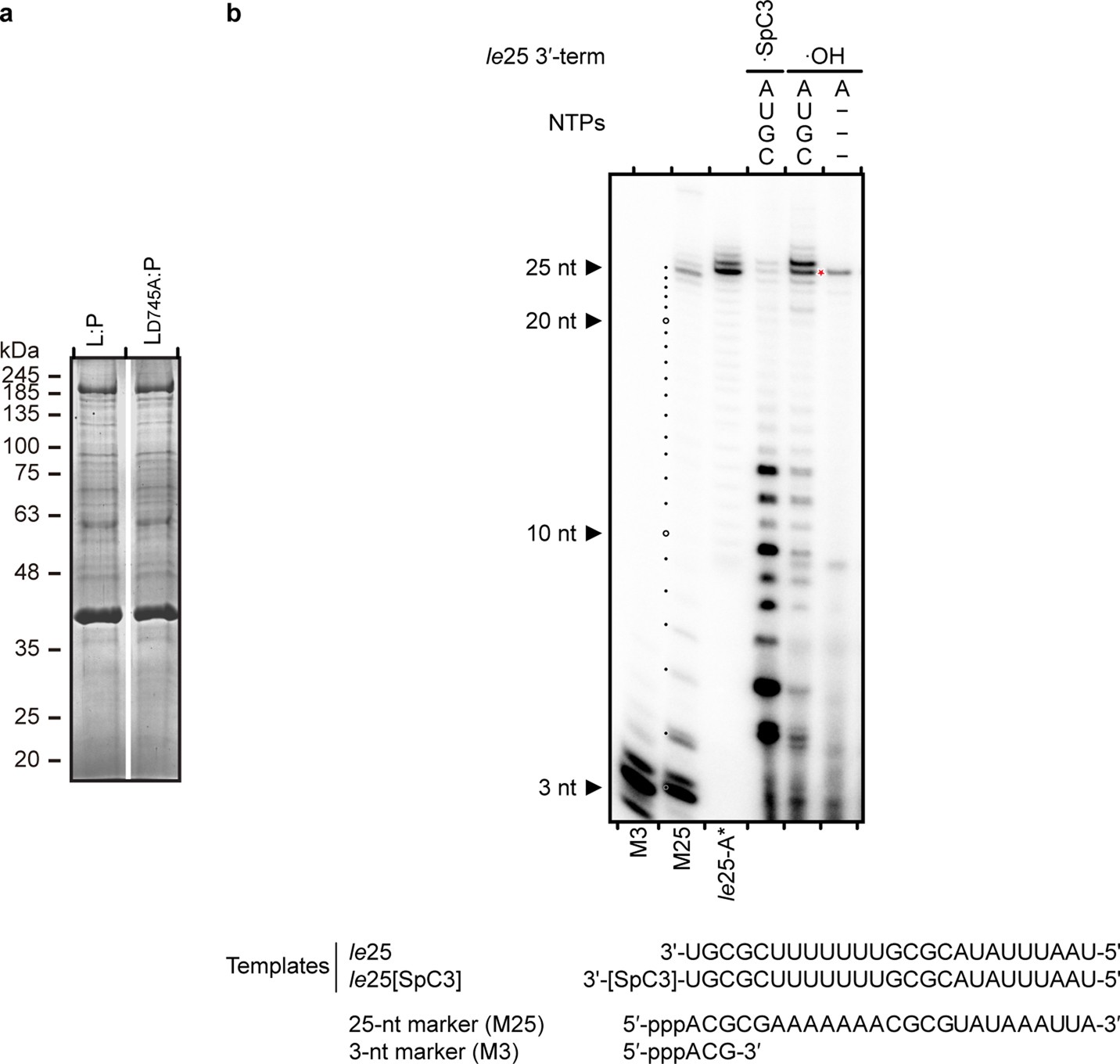 Extended Data Fig. 2