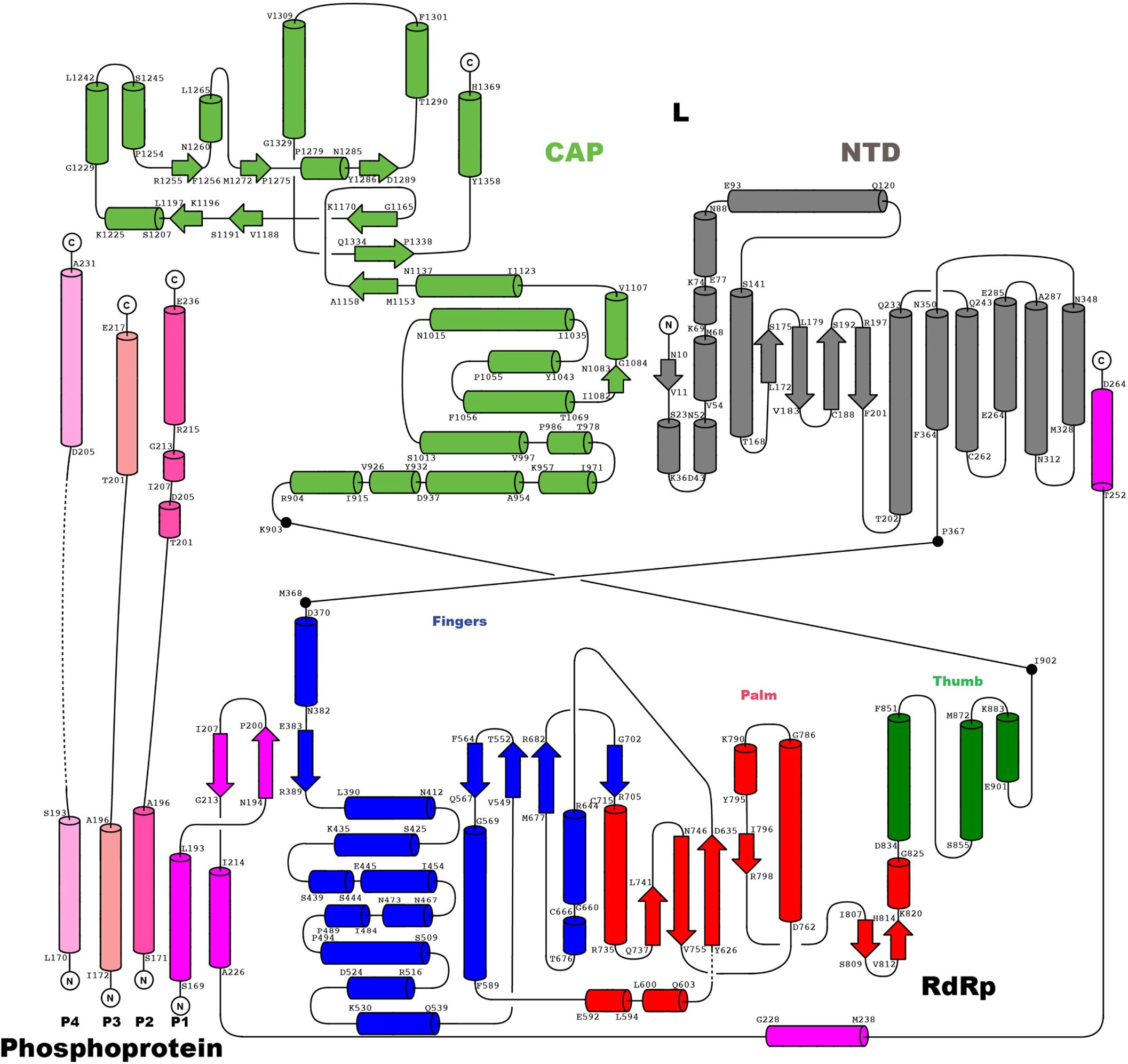 Extended Data Fig. 5