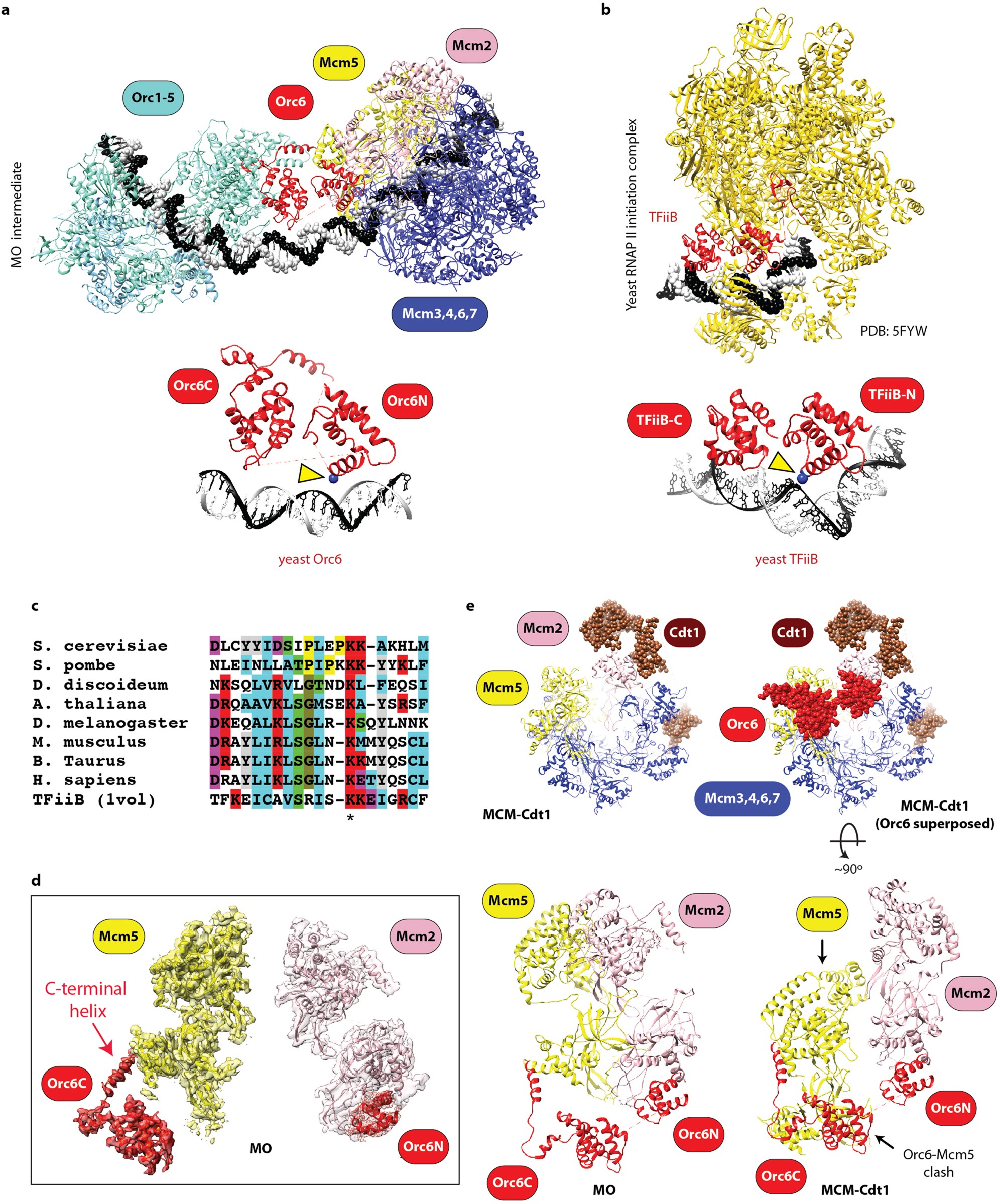 Extended Data Fig. 5
