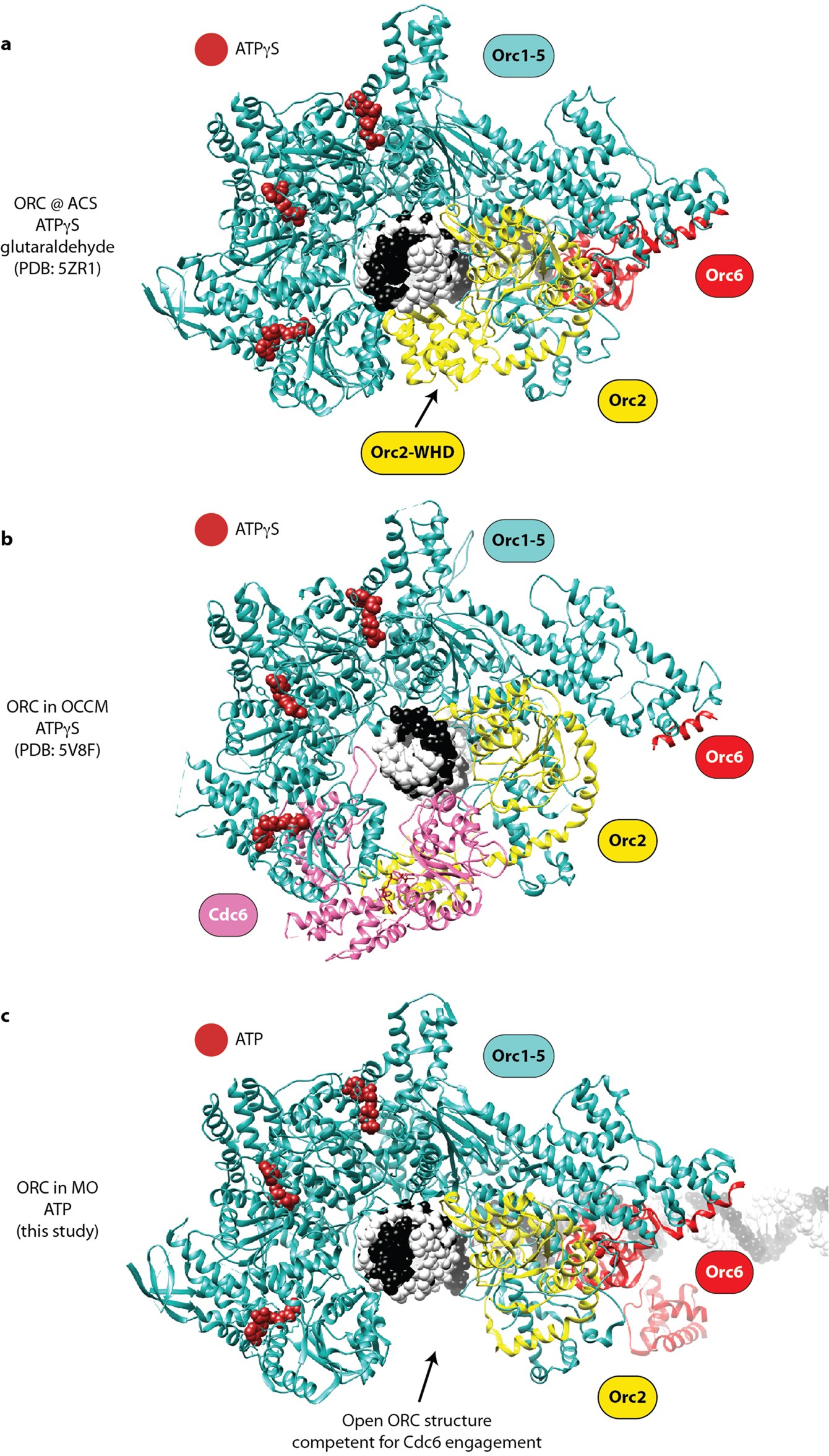 Extended Data Fig. 6