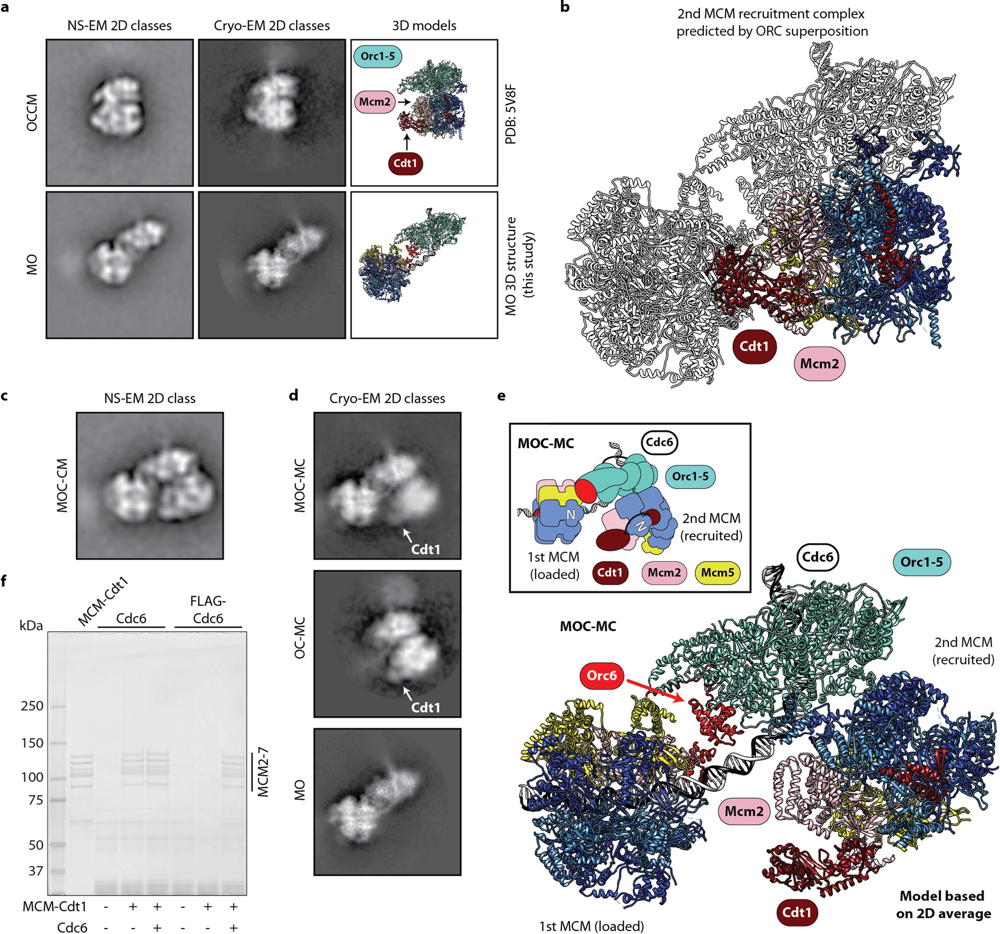 Extended Data Fig. 8