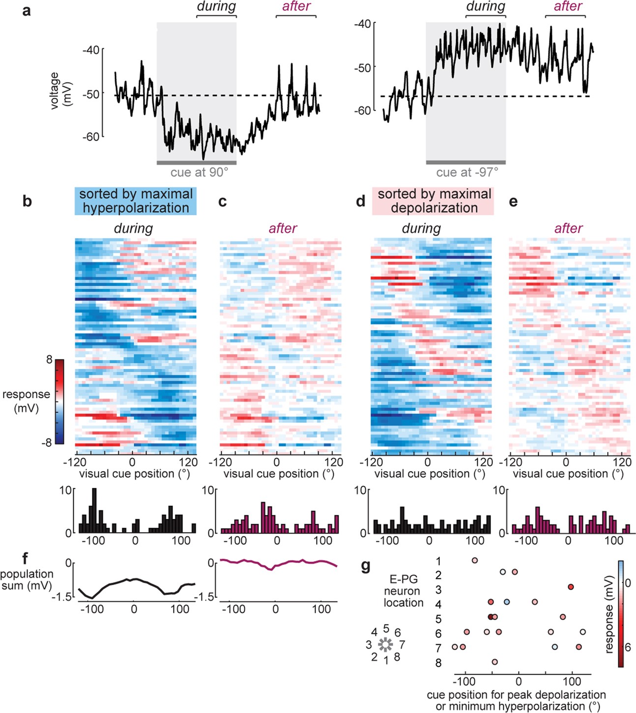 Extended Data Fig. 2