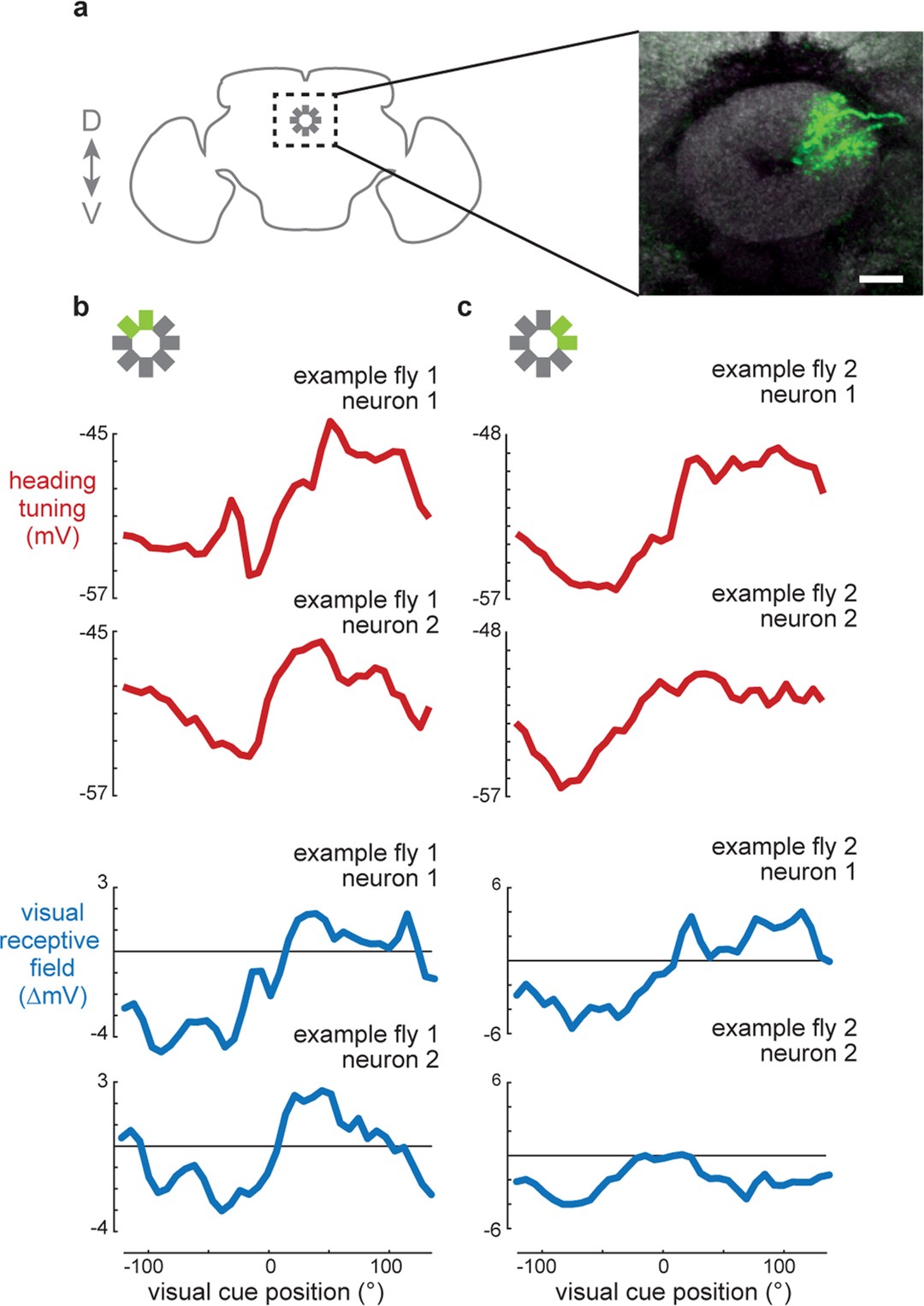 Extended Data Fig. 3