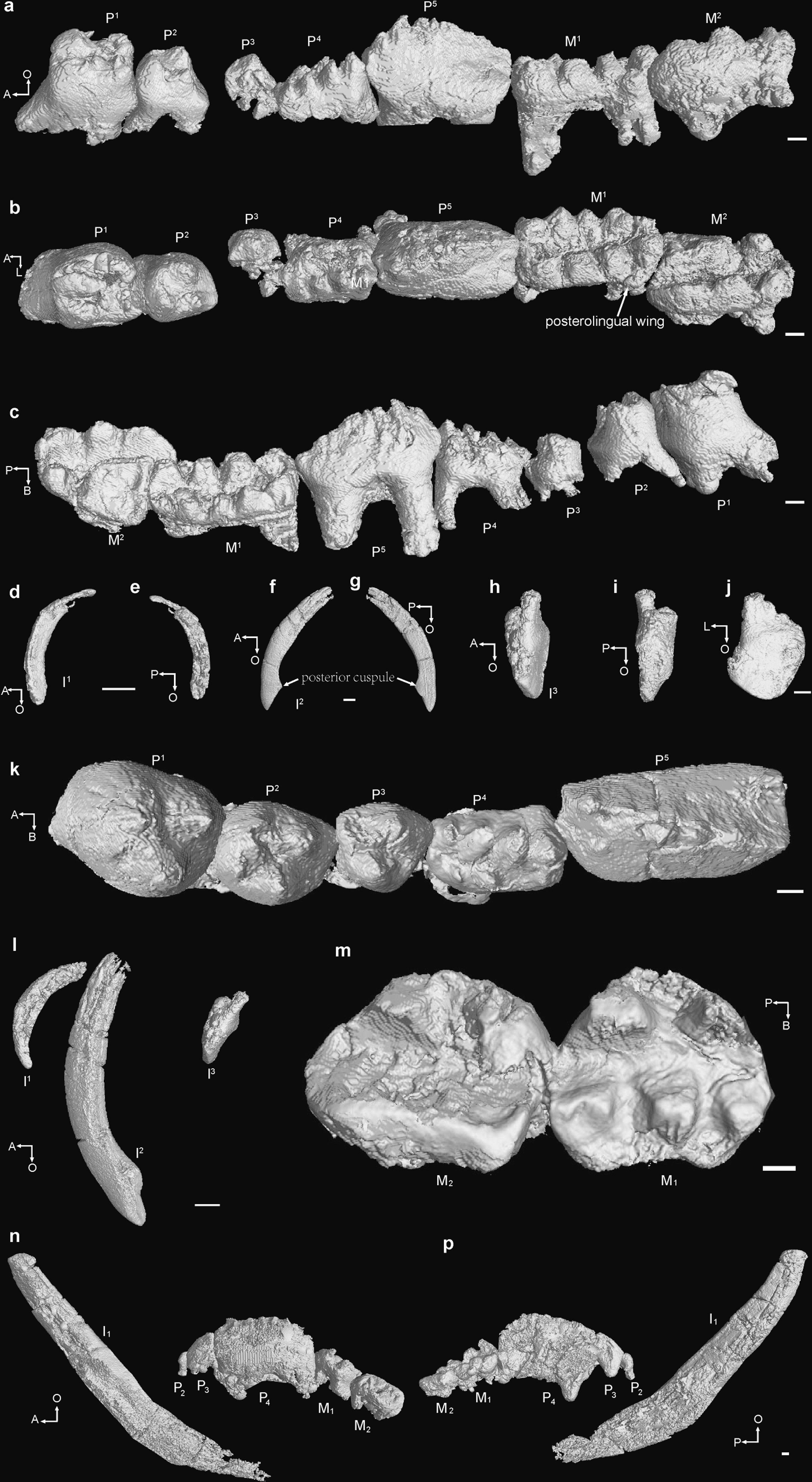 Extended Data Fig. 2