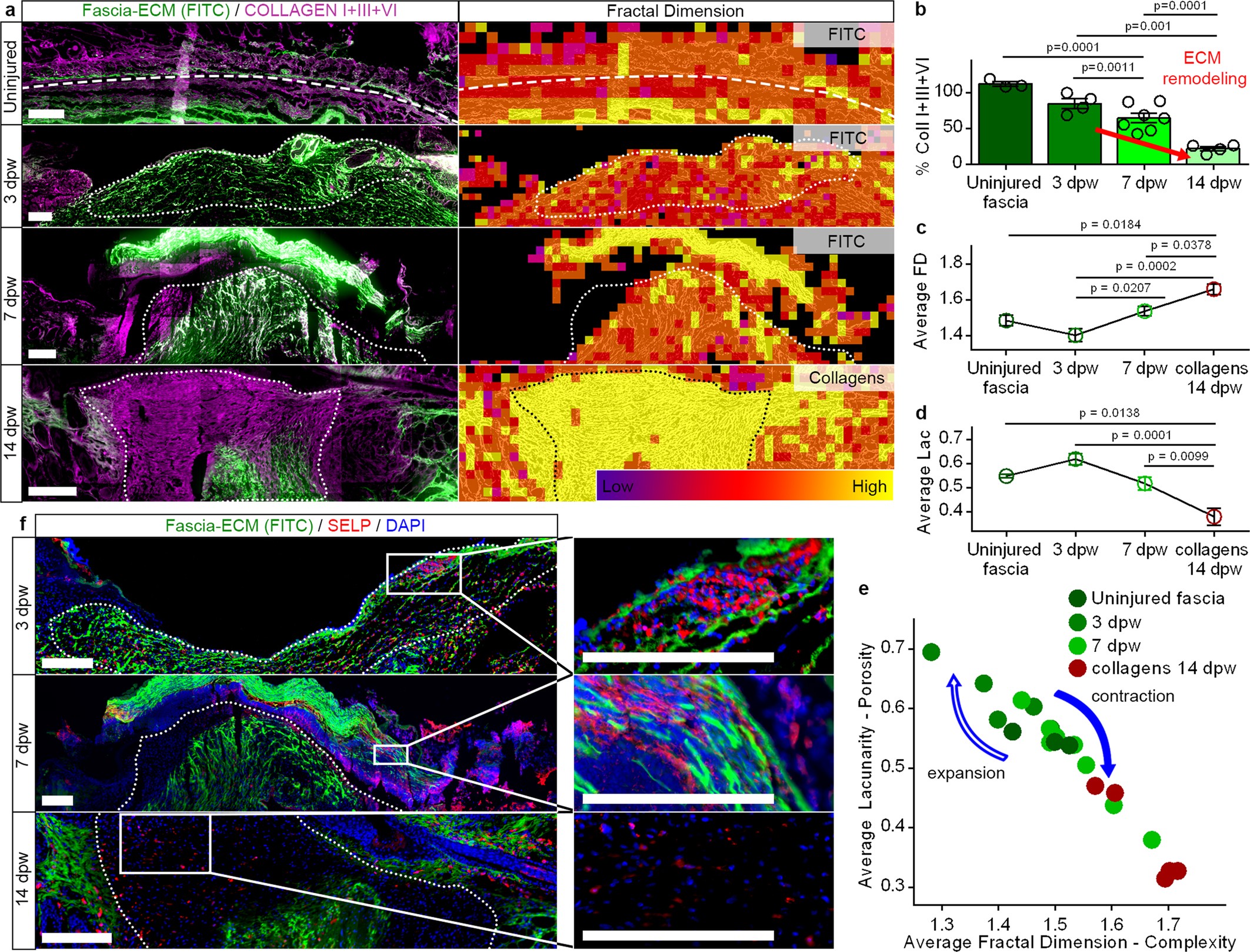 Extended Data Fig. 7