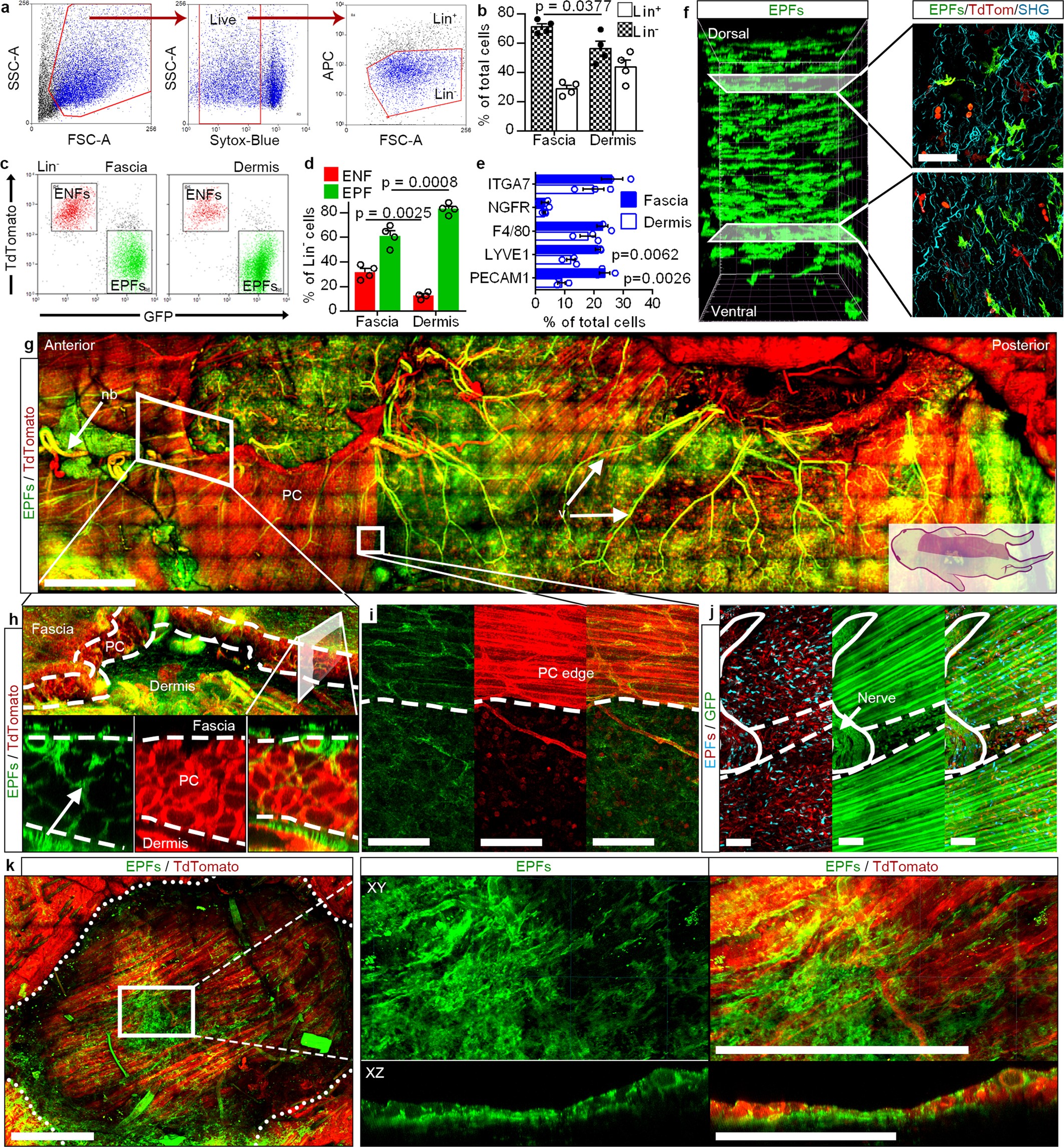 Extended Data Fig. 2
