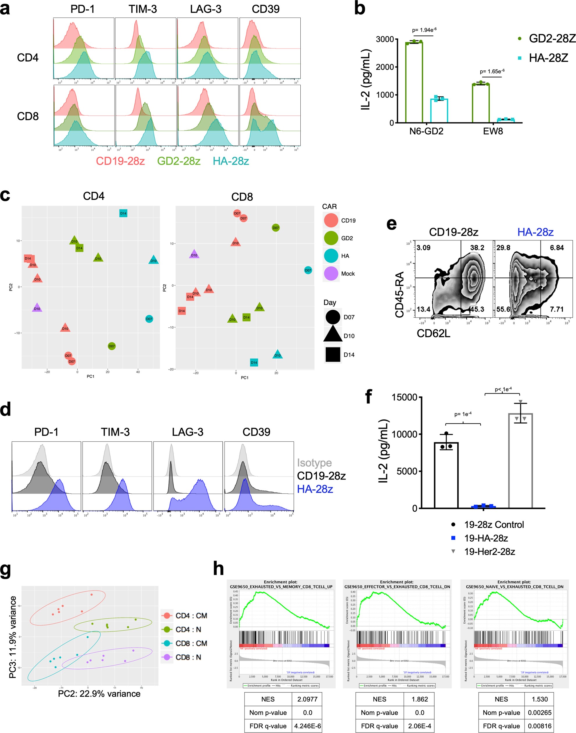 Extended Data Fig. 1: High-affinity 14g2a-GD2(E101K) CAR T cells manifest an exaggerated exhaustion signature compared with the original 14g2a-GD2 CAR T cells.