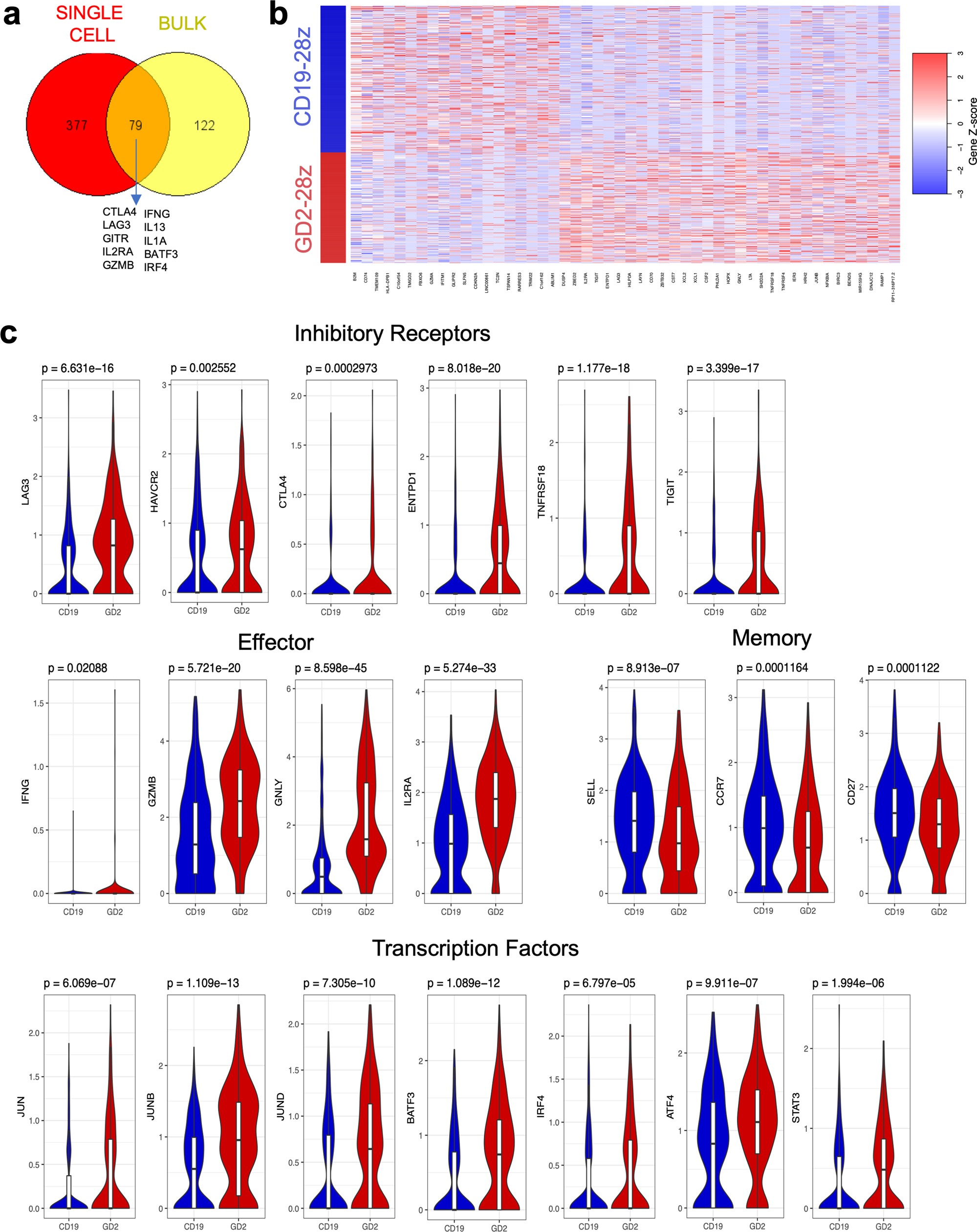 Extended Data Fig. 2: GD2-28z CAR T cells display an exhaustion signature at the single cell-level.
