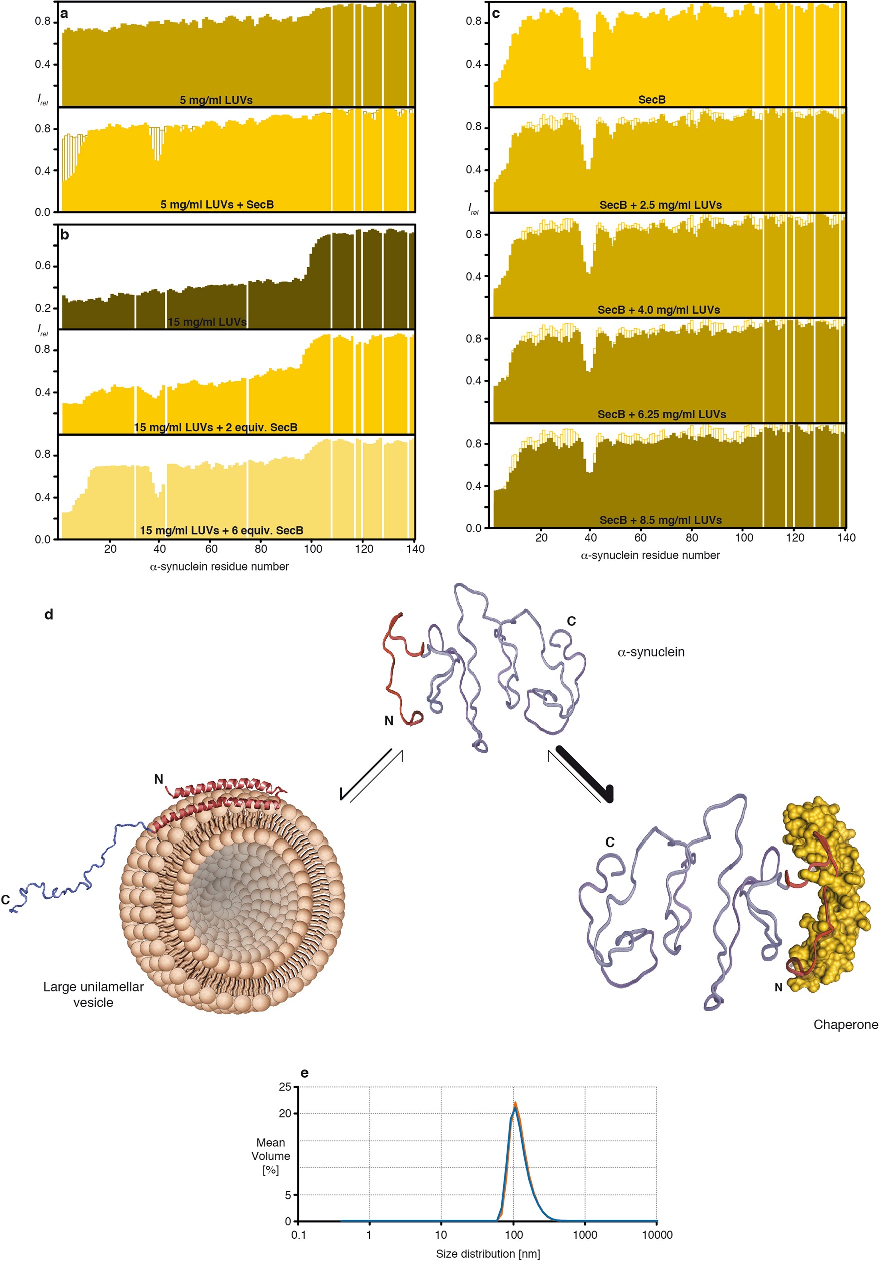 Extended Data Fig. 6: LUVs and the chaperone SecB compete for α-synuclein binding.