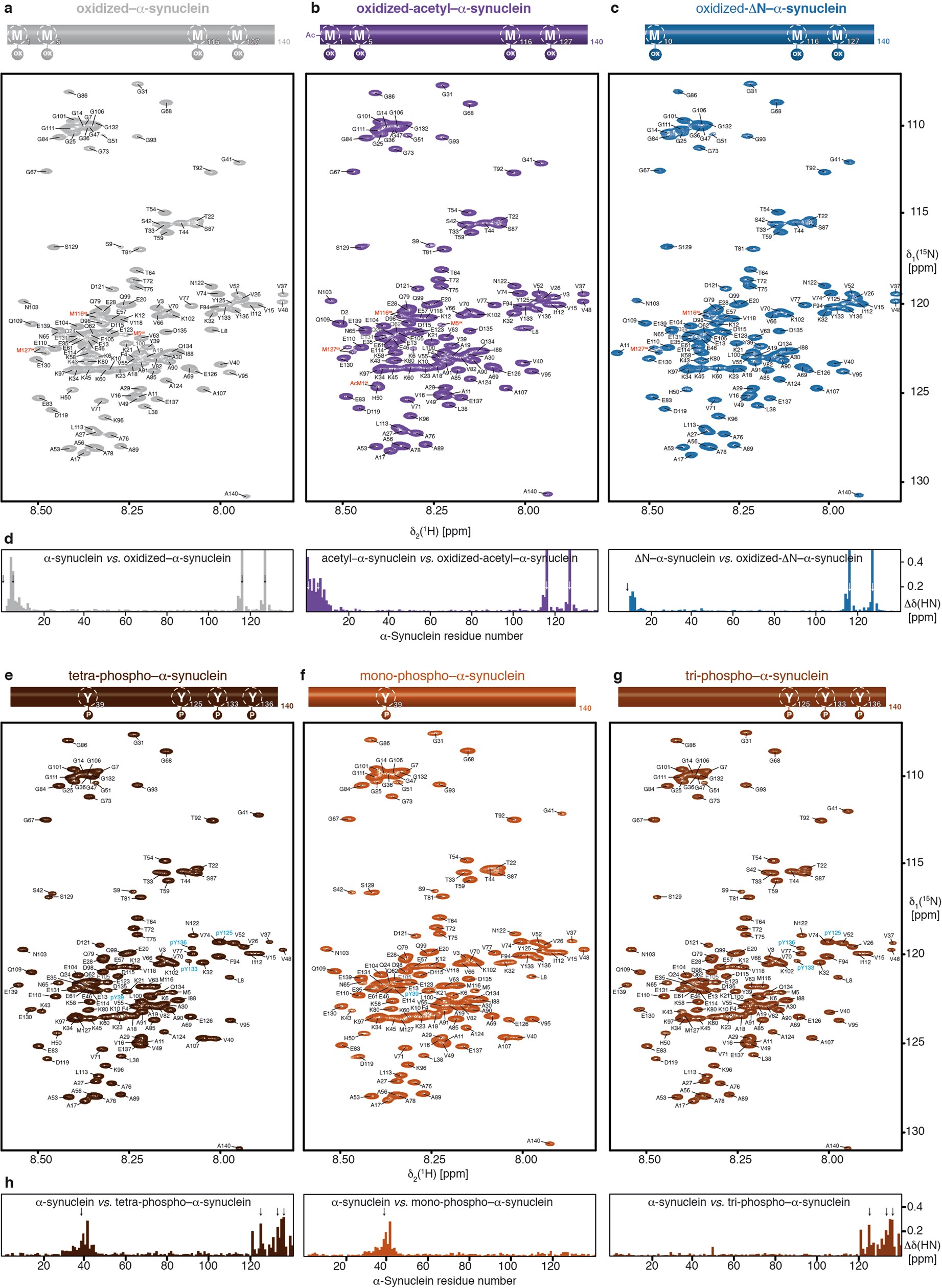 Extended Data Fig. 9: Sequence-specific NMR-resonance assignments of methionine-oxidized and tyrosine-phosphorylated α-synuclein variants.