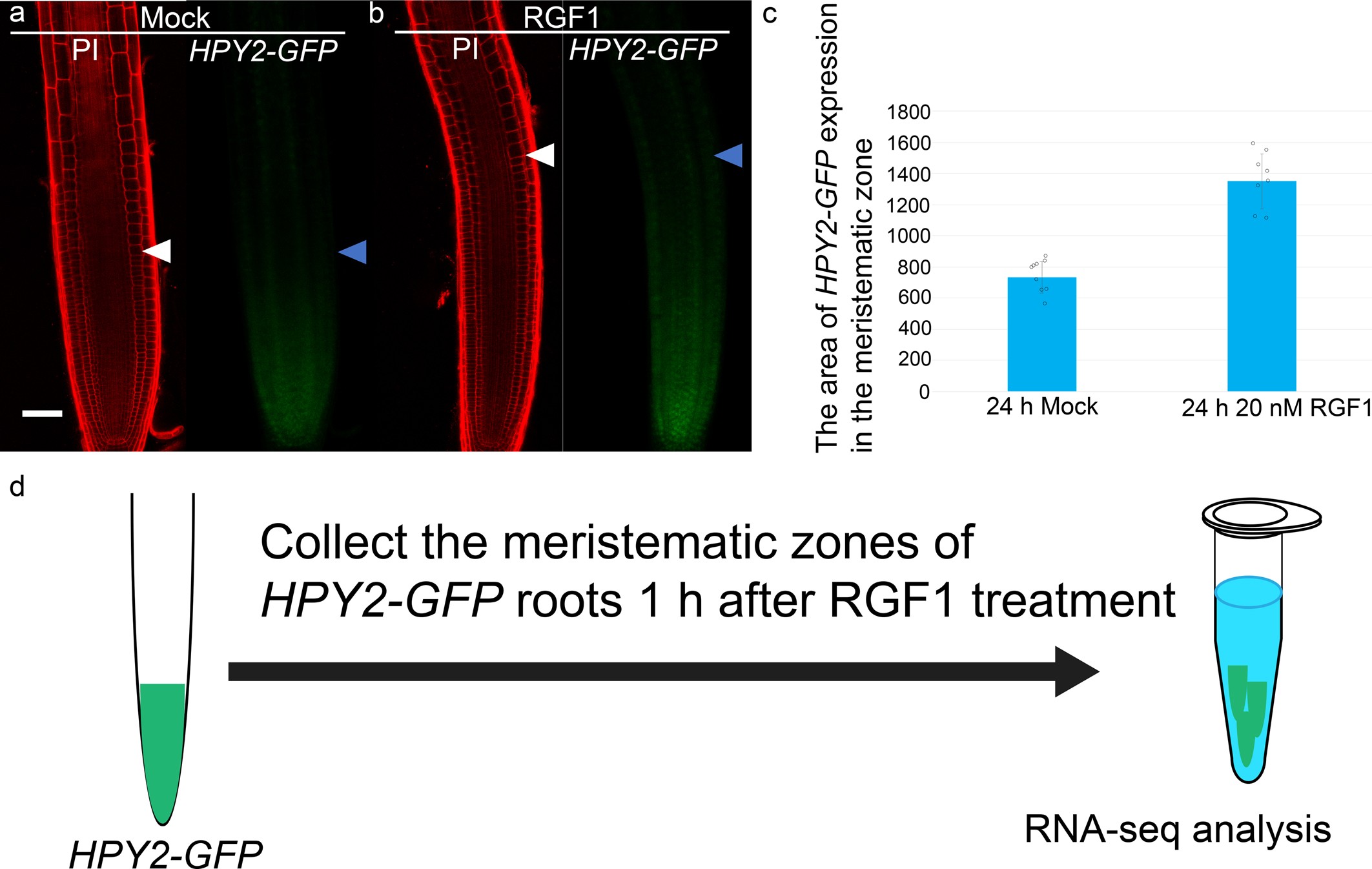Extended Data Fig. 1