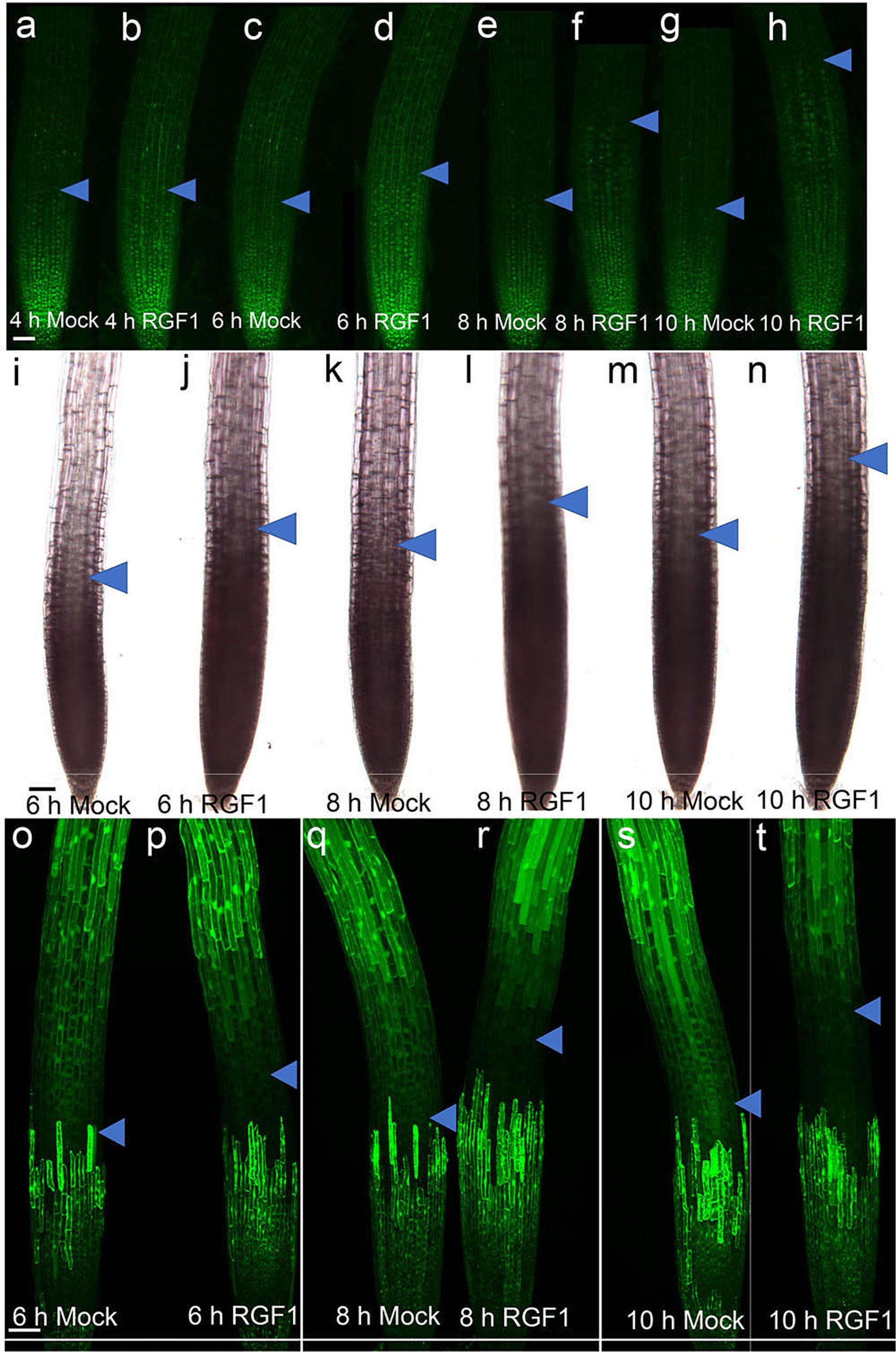 Extended Data Fig. 4