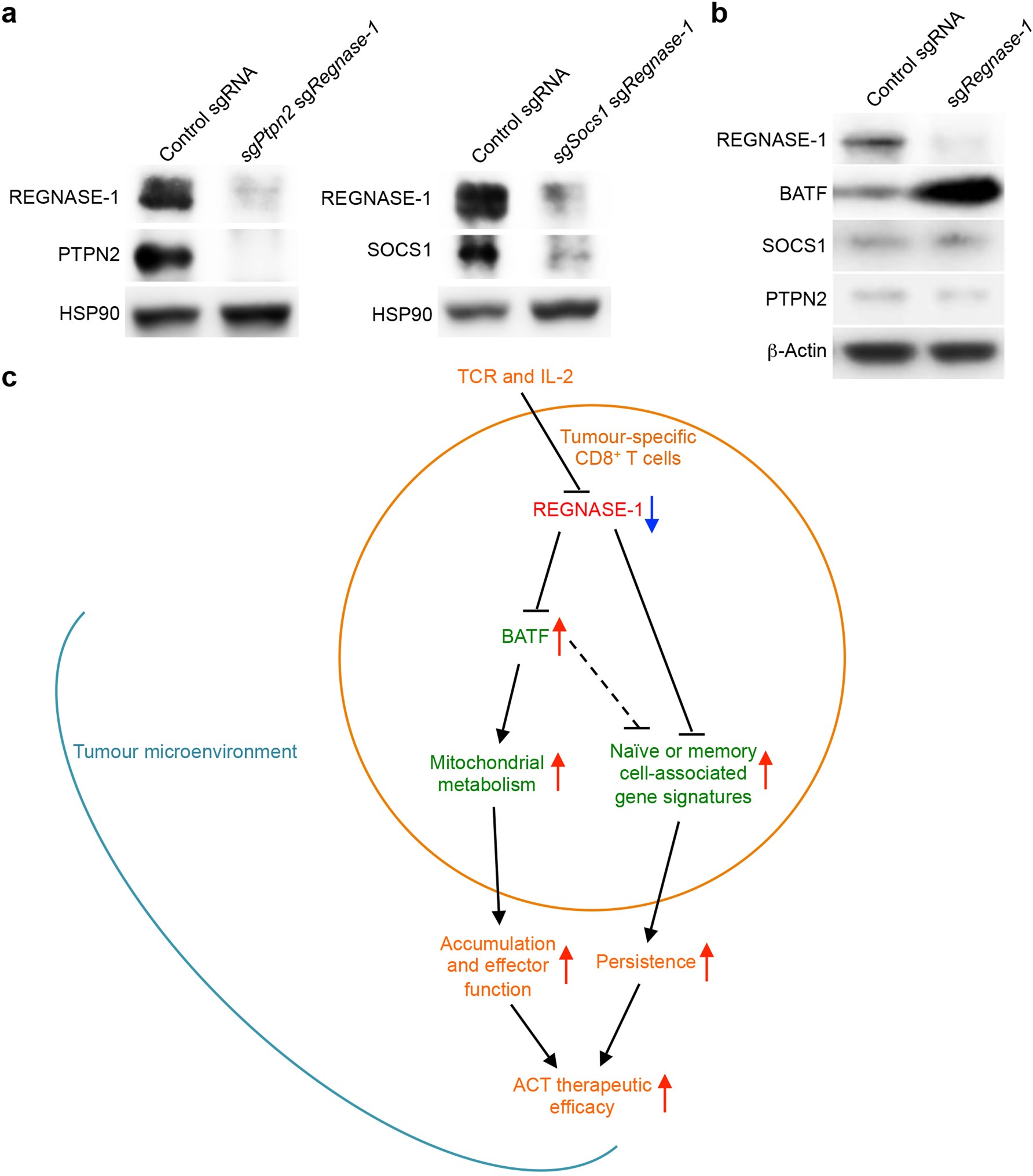 Extended Data Fig. 10