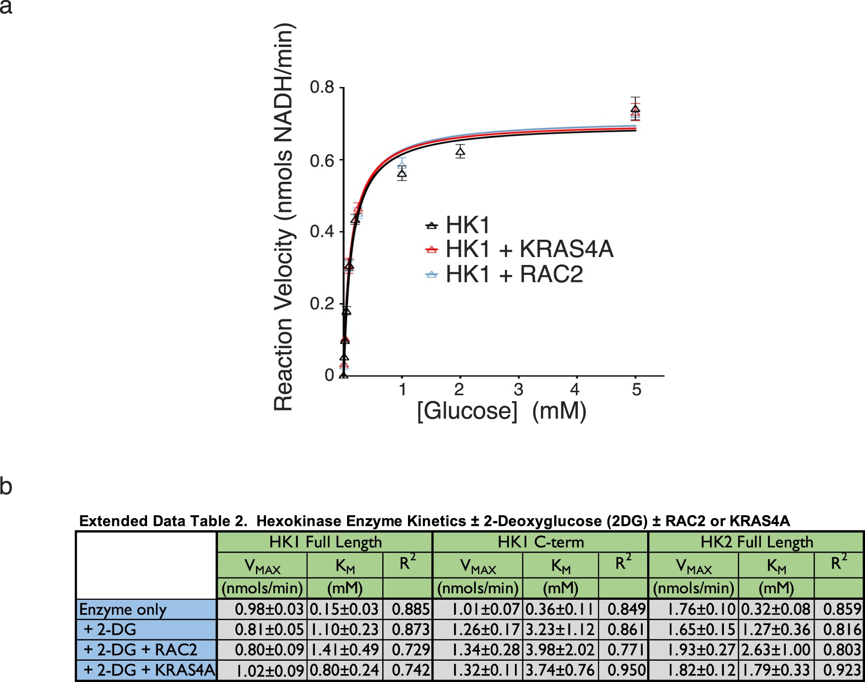 Extended Data Fig. 5: Enzyme kinetics of hexokinases with and without recombinant KRAS4A and with and without 2-DG.