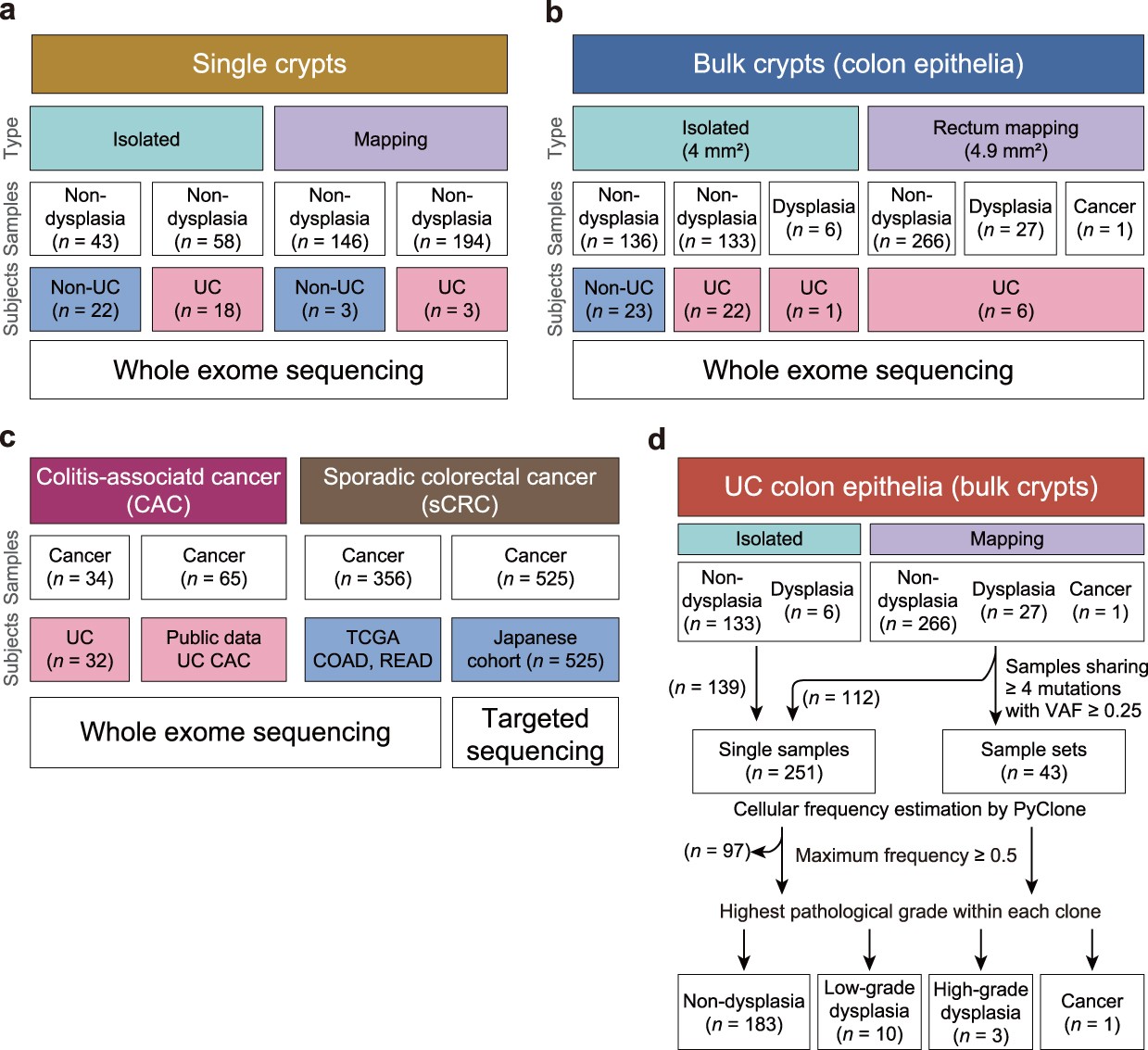Extended Data Fig. 1: Study design.