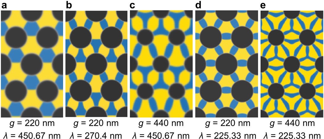 Extended Data Fig. 7