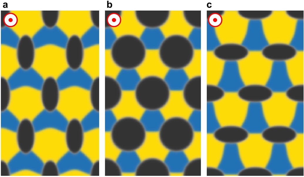 Extended Data Fig. 8