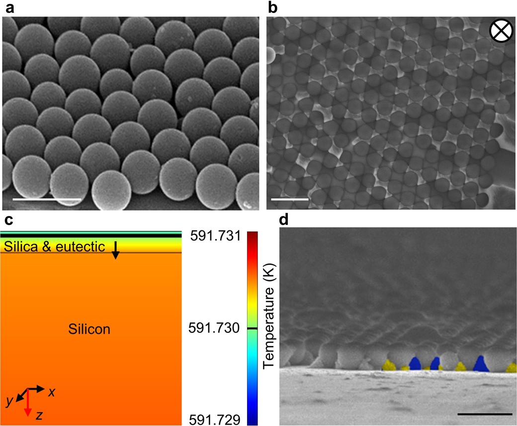 Extended Data Fig. 9
