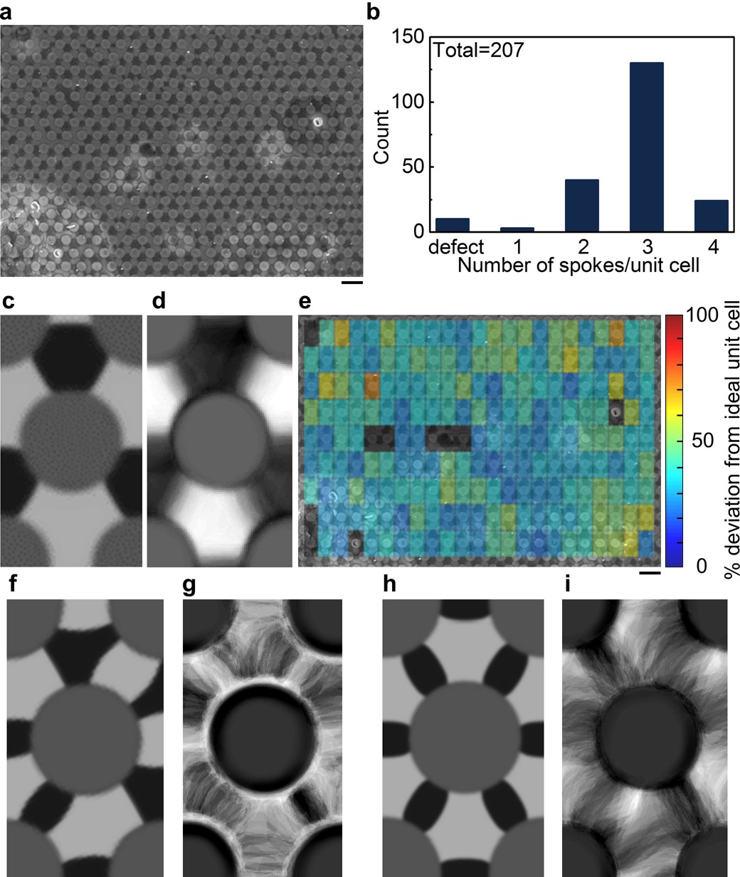 Extended Data Fig. 5