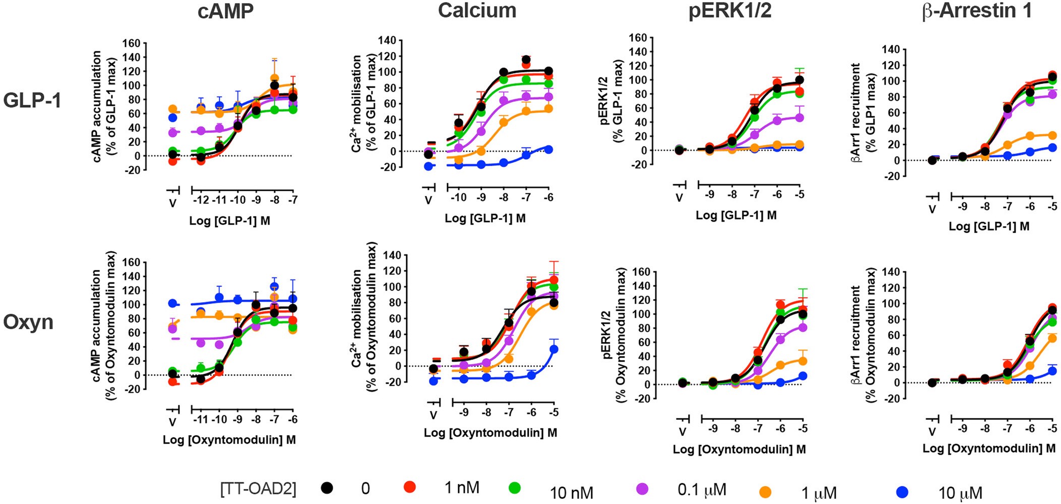 Extended Data Fig. 6: Pharmacological responses exhibited by endogenous ligands GLP-1 and oxyntomodulin in the presence of TT-OAD2.