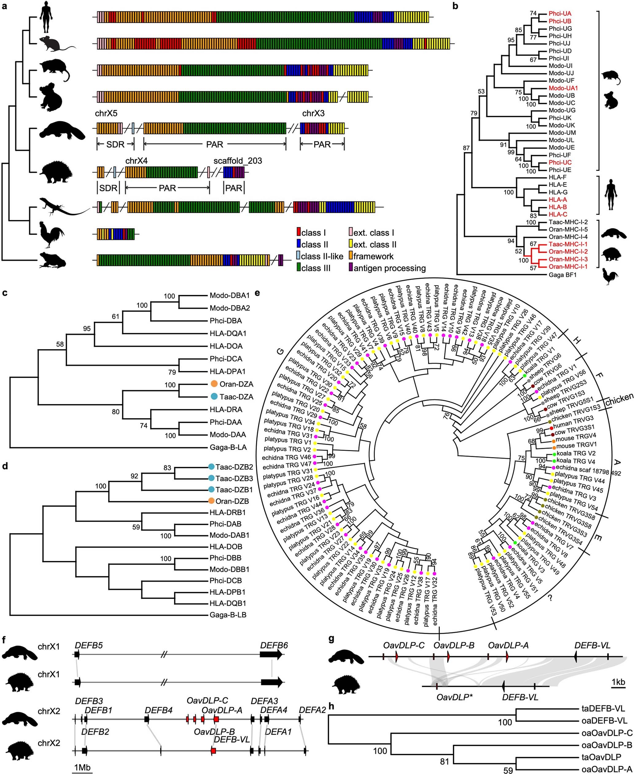 Extended Data Fig. 3