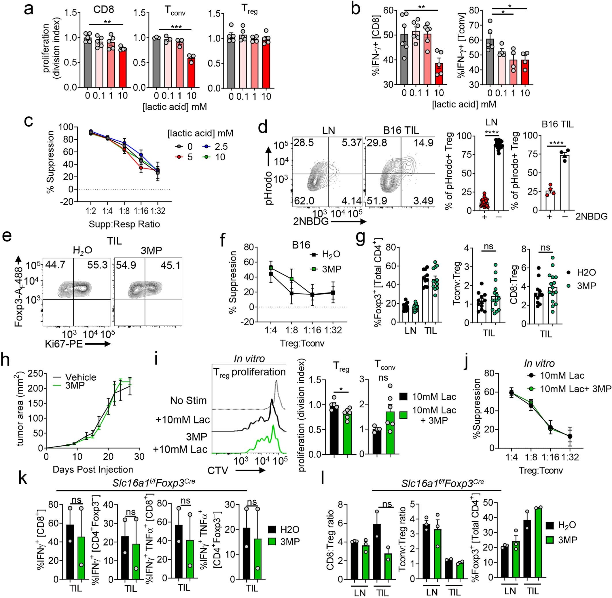 Extended Data Fig. 3: Treg cells are resistant to lactic acid and use PEPCK-mediated metabolic pathways to support their proliferation.