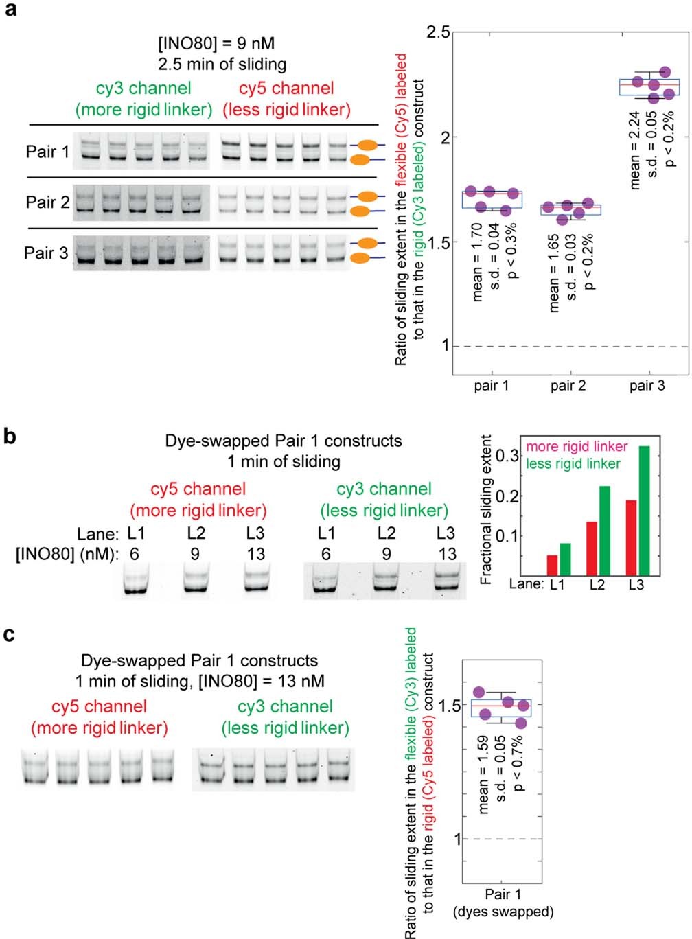Extended Data Fig. 7: Control experiments pertaining to the INO80-mediated sliding of nucleosomes.