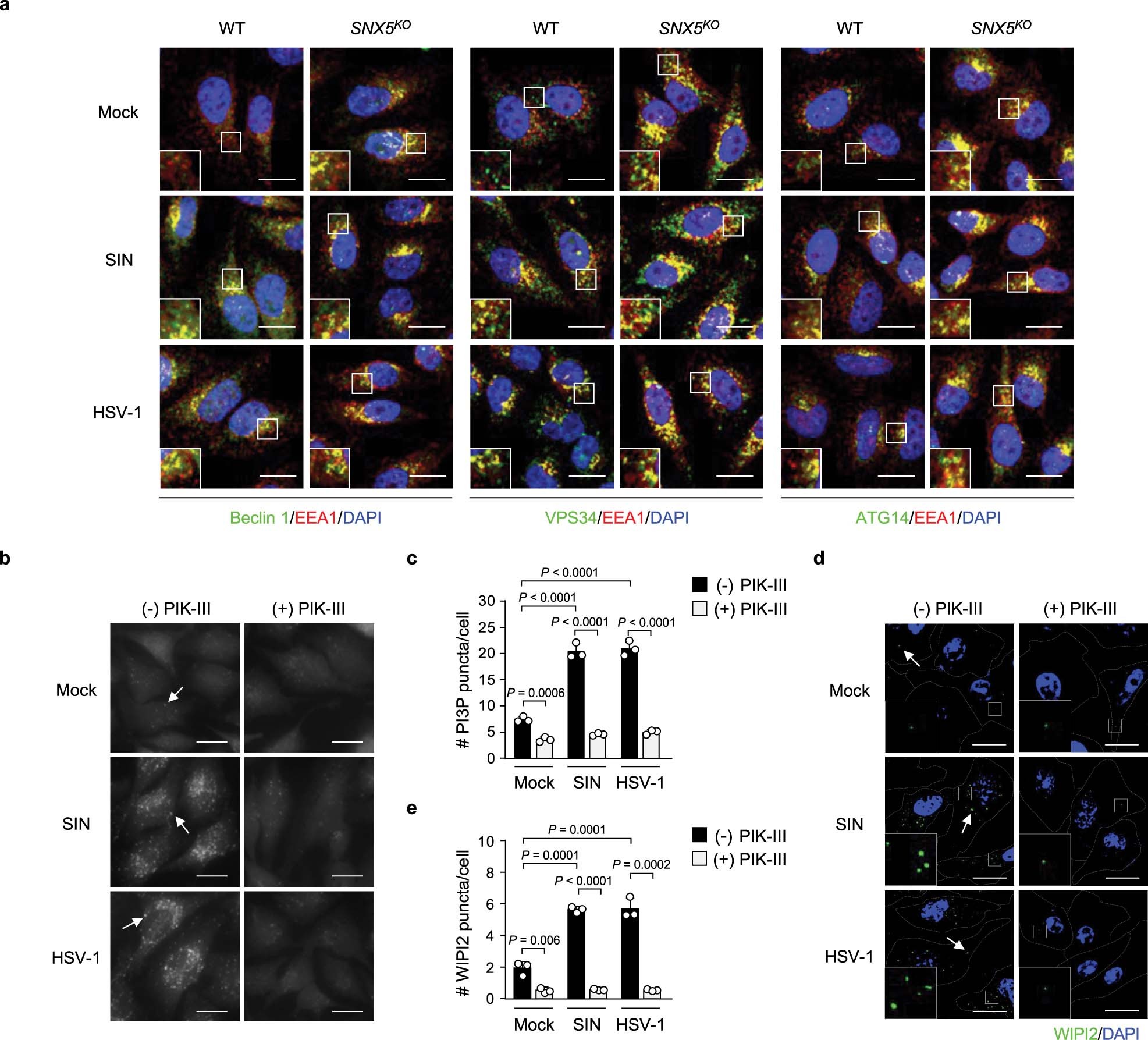 Extended Data Fig. 10