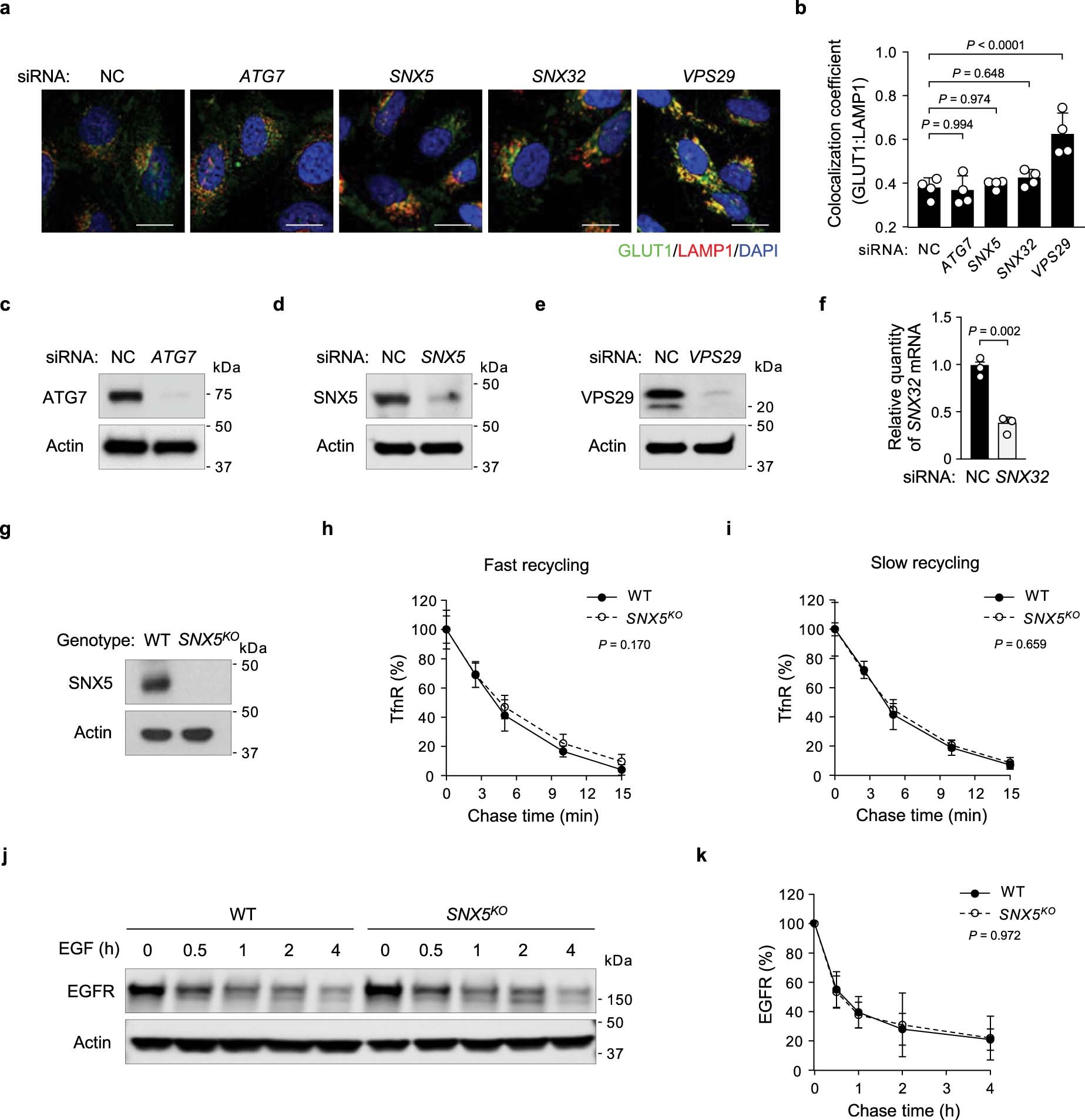 Extended Data Fig. 5