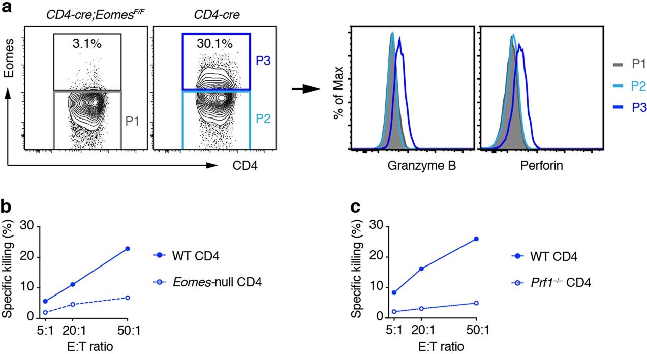 Extended Data Fig. 1