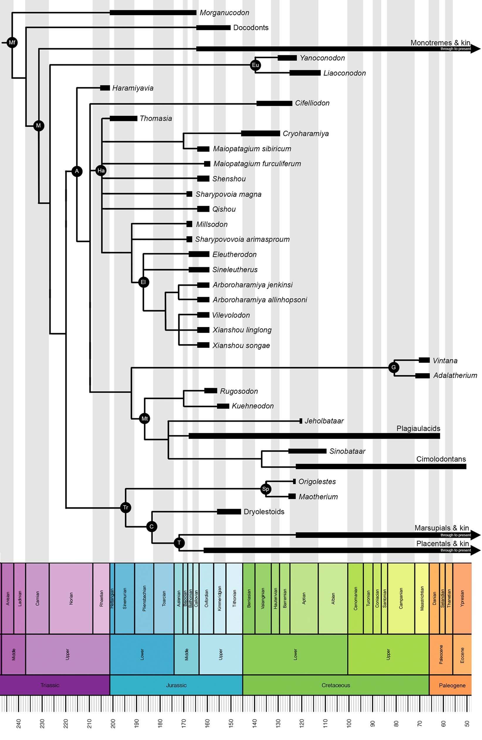 Extended Data Fig. 7
