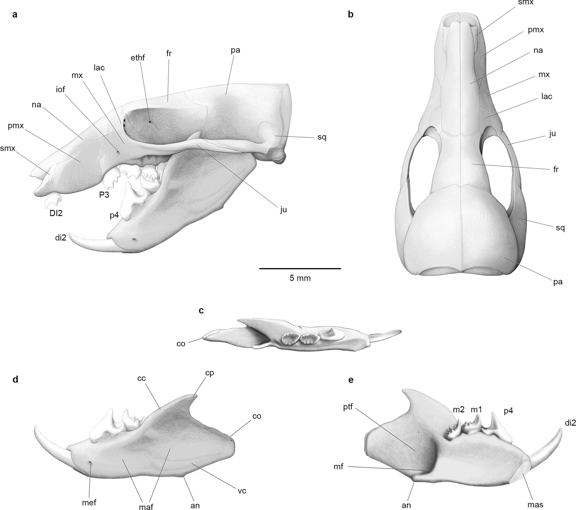 Extended Data Fig. 3