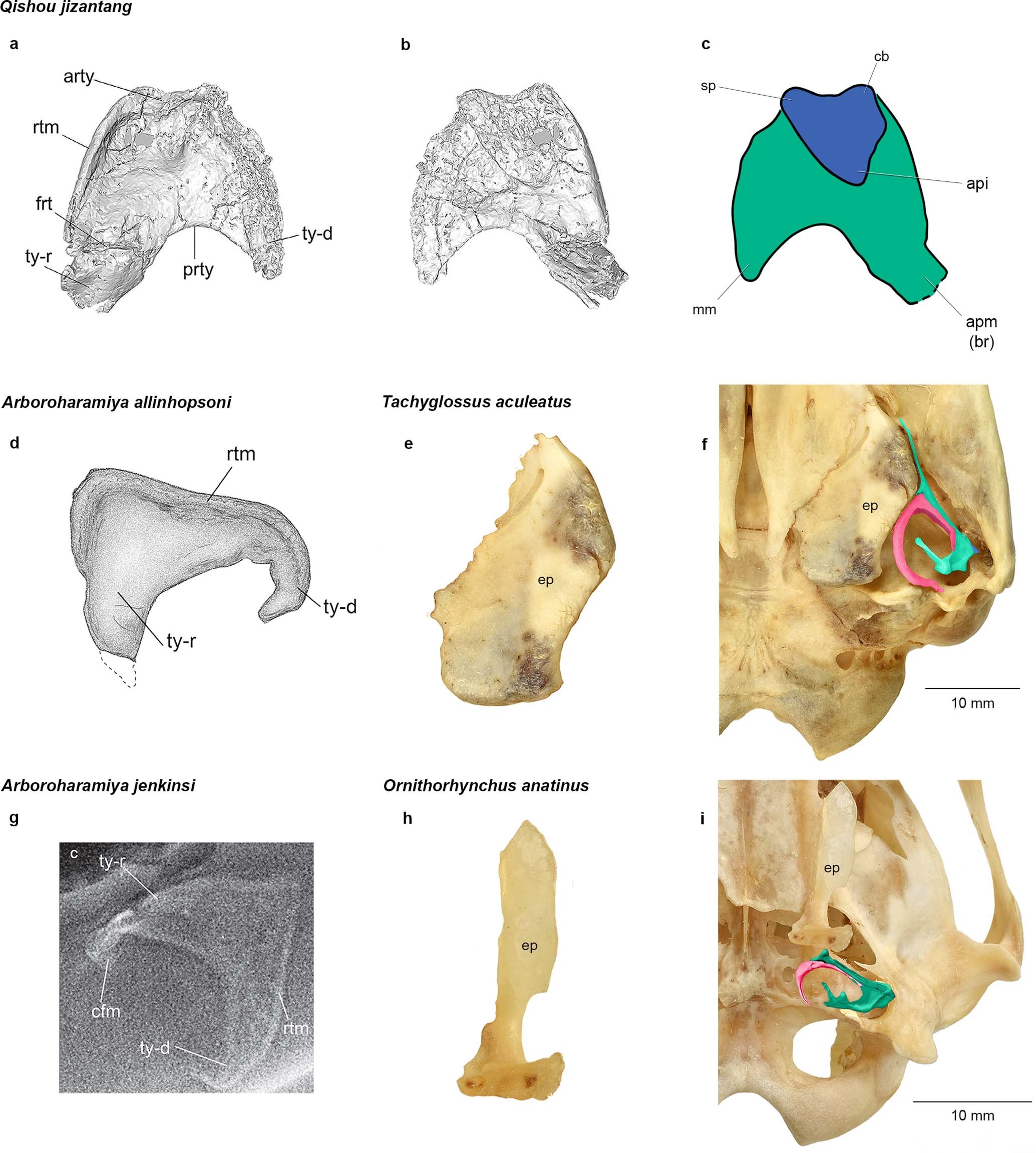 Extended Data Fig. 6