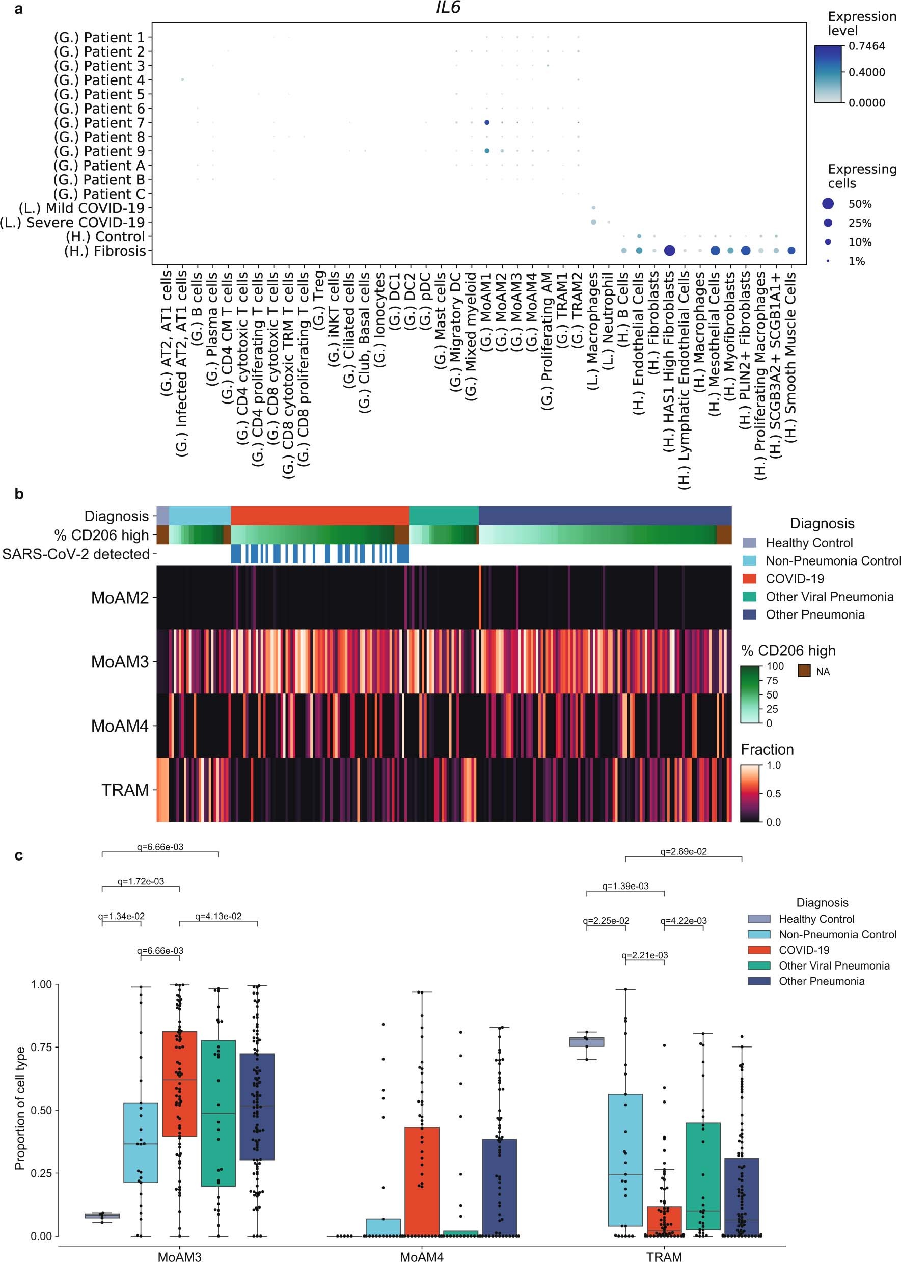 Extended Data Fig. 7: Deconvolution of bulk RNA-seq demonstrates loss of tissue-resident alveolar macrophages and persistence of mature monocyte-derived alveolar macrophages in patients with severe COVID-19.