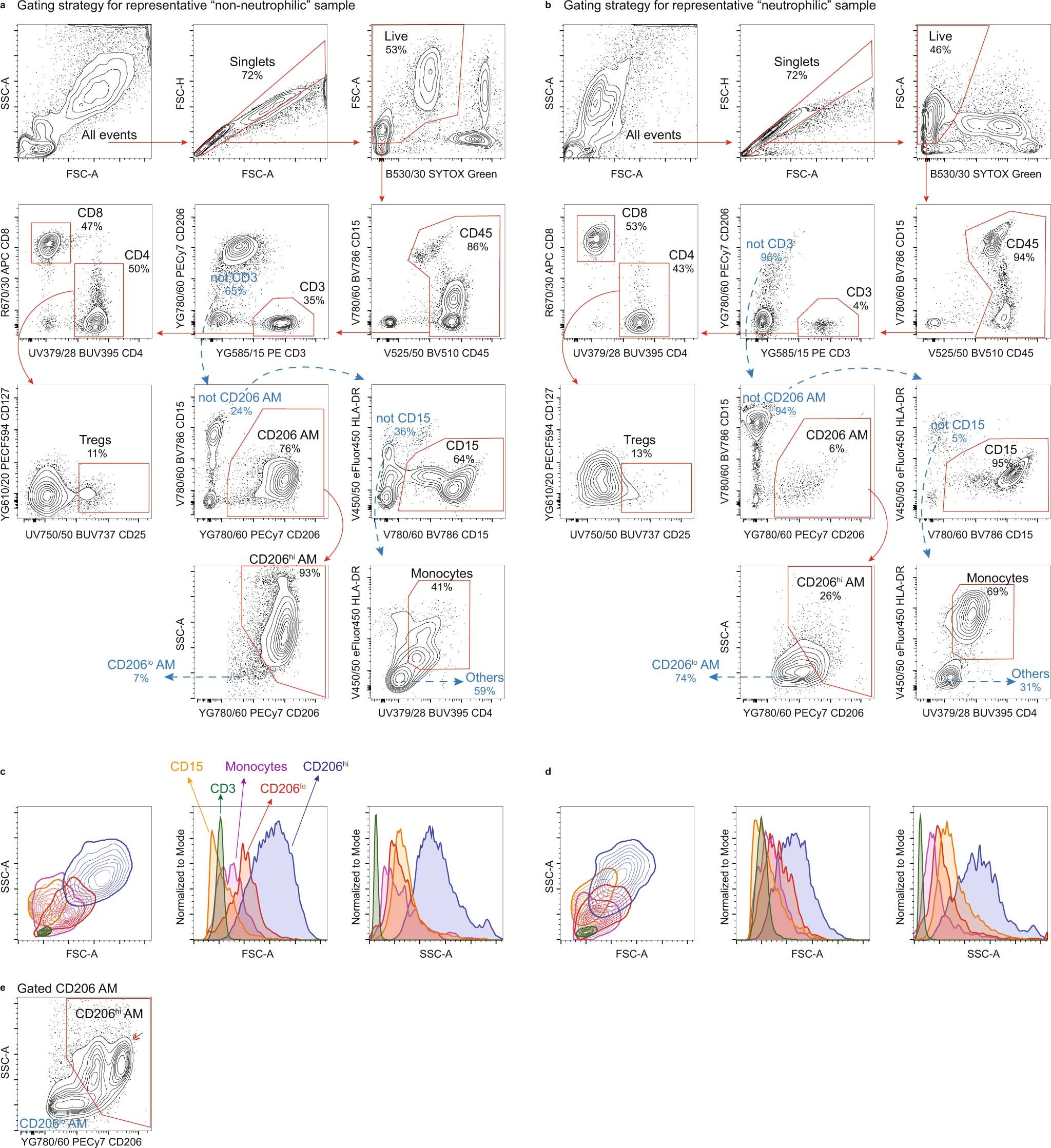 Extended Data Fig. 2: Representative gating strategy to identify immune cell subsets in BAL samples.
