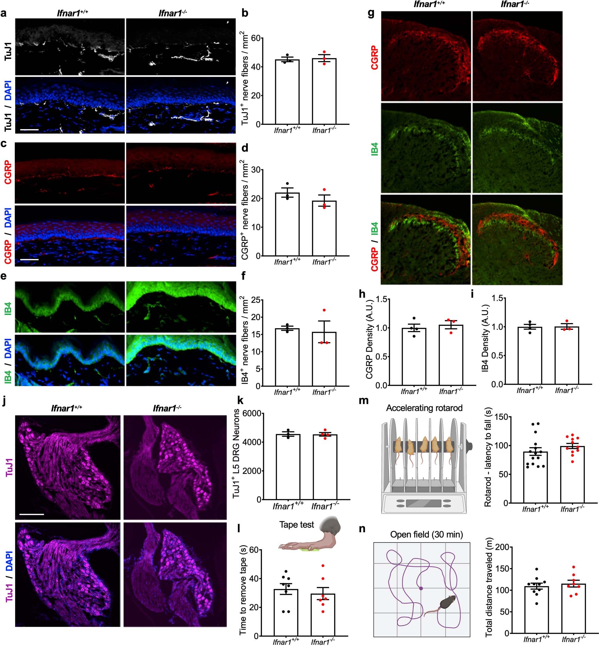 Extended Data Fig. 7