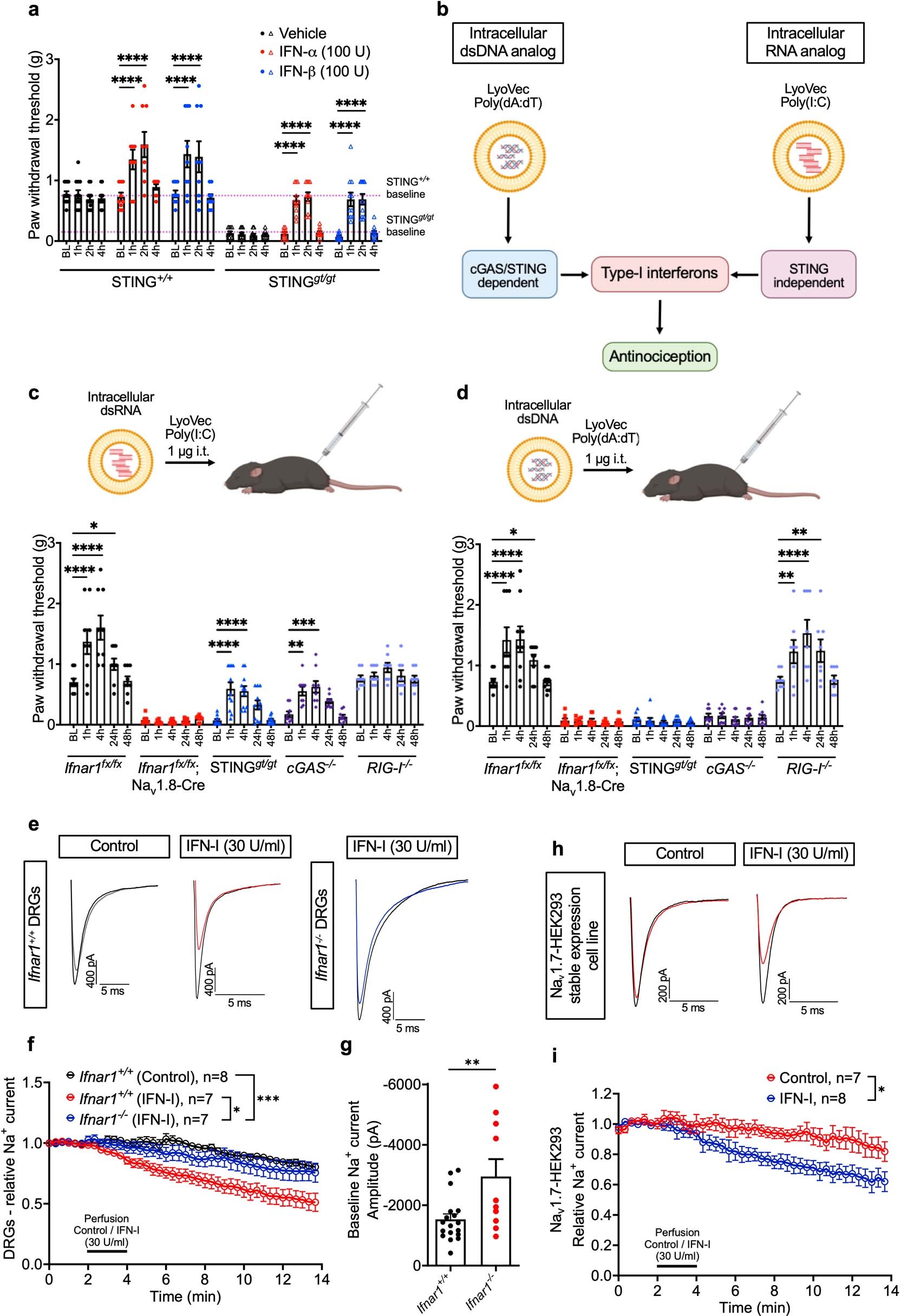 Extended Data Fig. 10