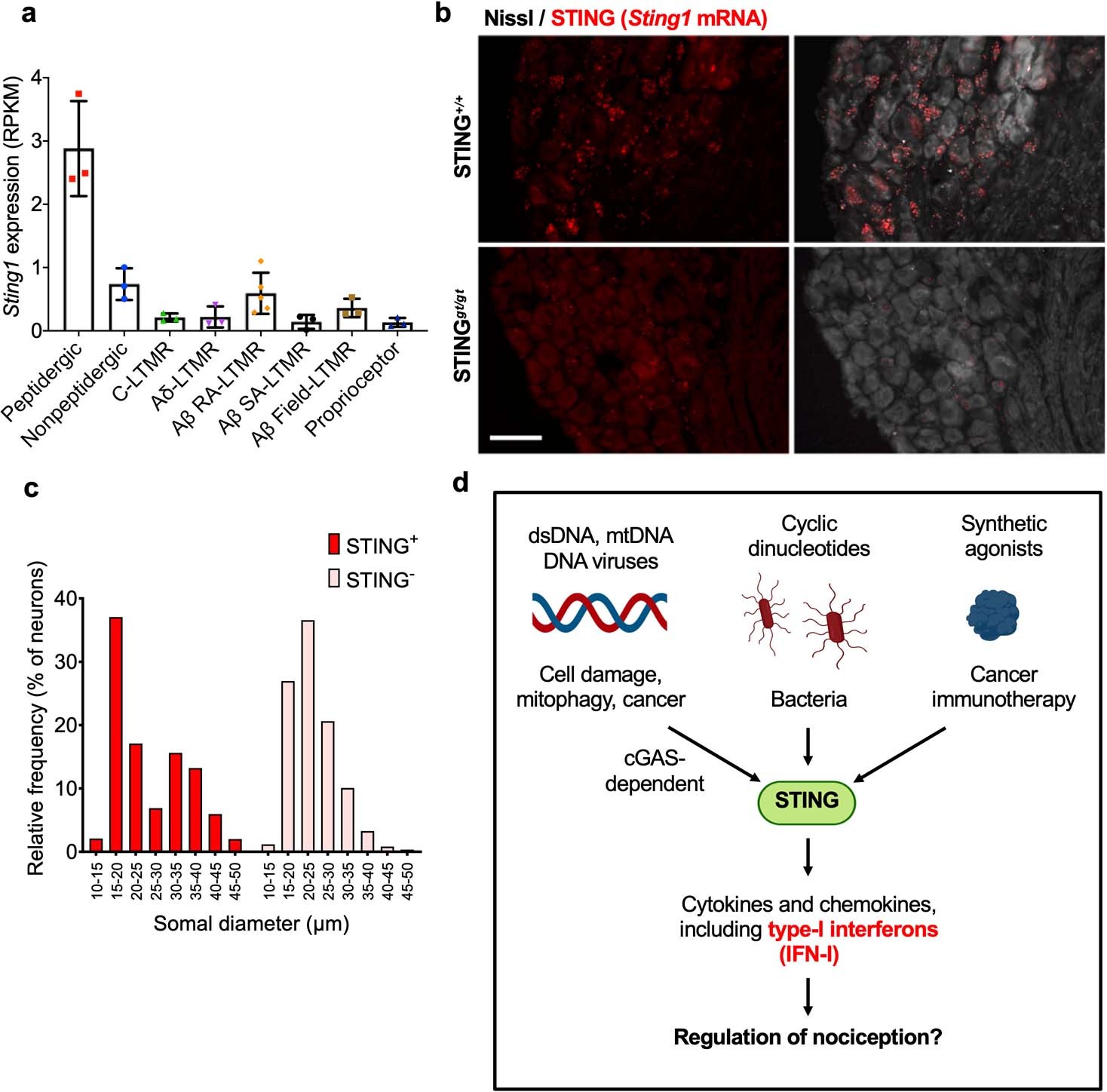 Extended Data Fig. 1