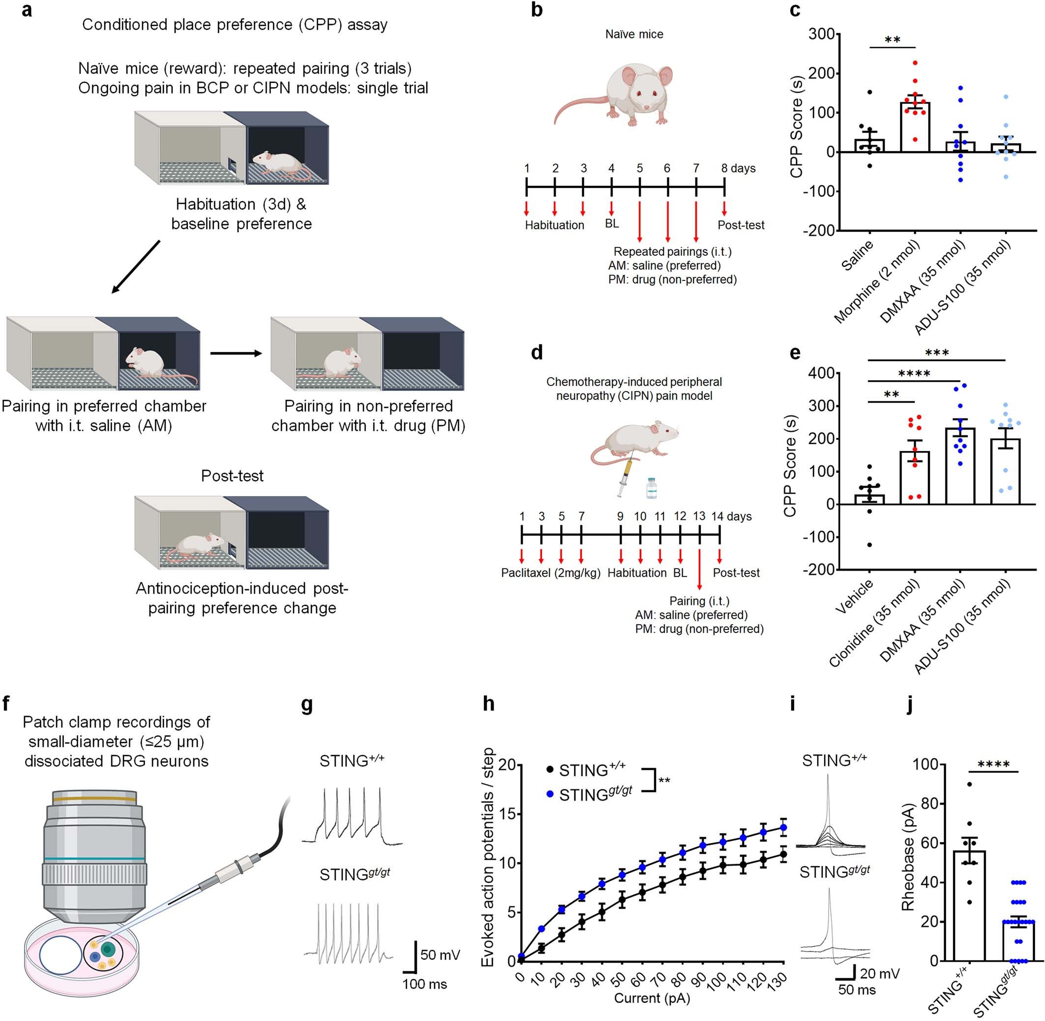 Extended Data Fig. 3