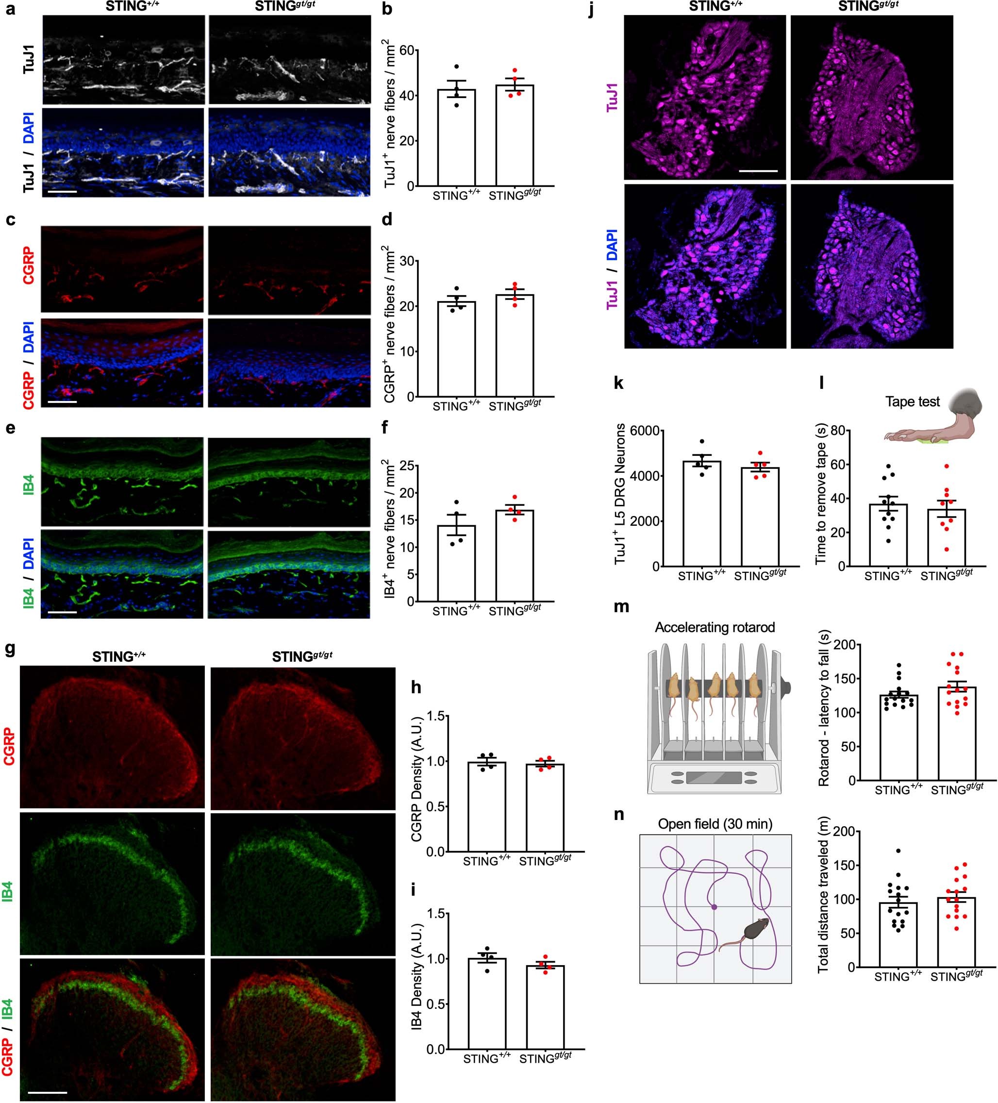 Extended Data Fig. 4
